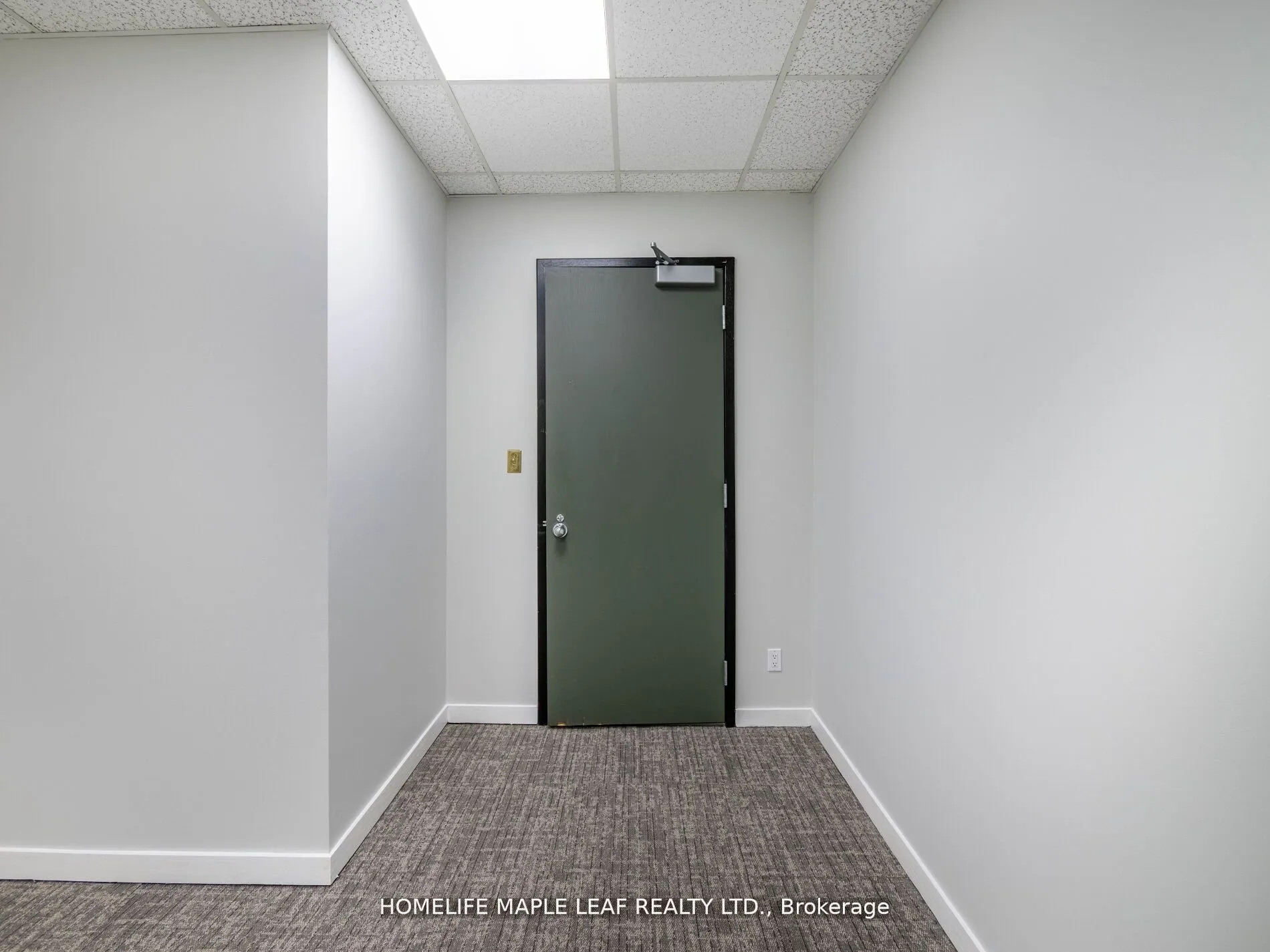 1033 Bay Street, #219