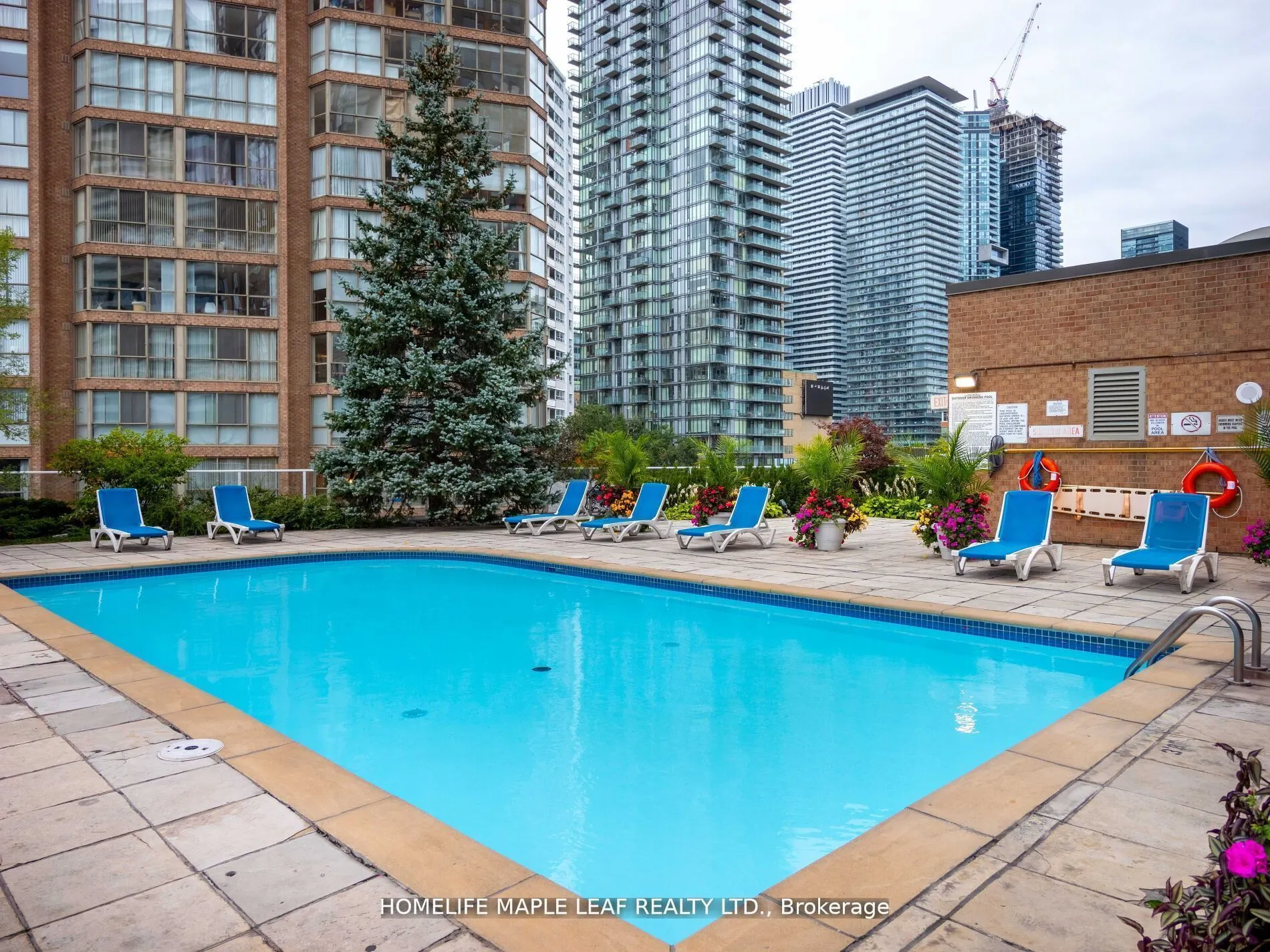 1033 Bay Street, #219
