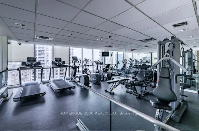24 Wellesley Street W, #315
