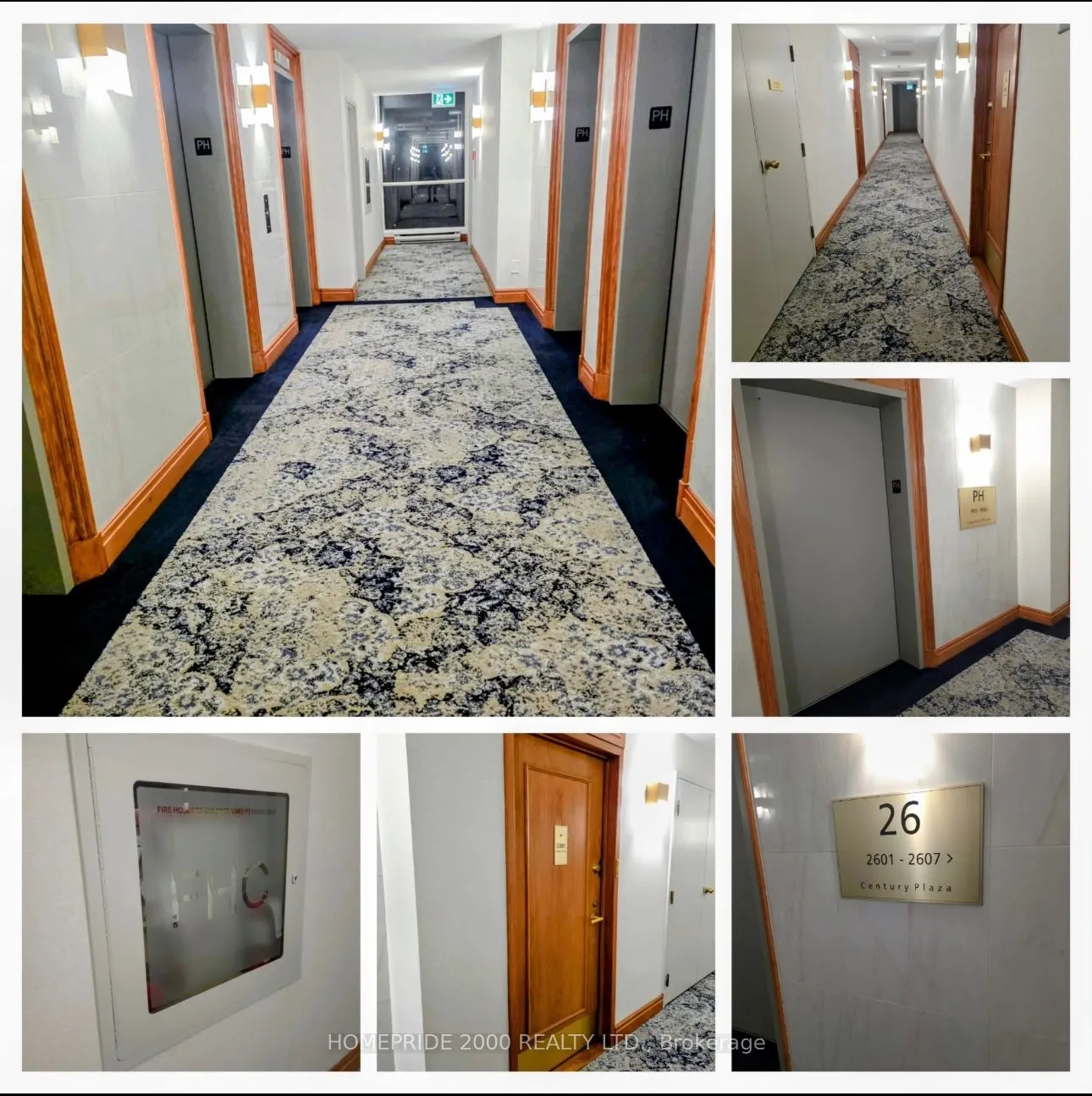24 Wellesley Street W, #315