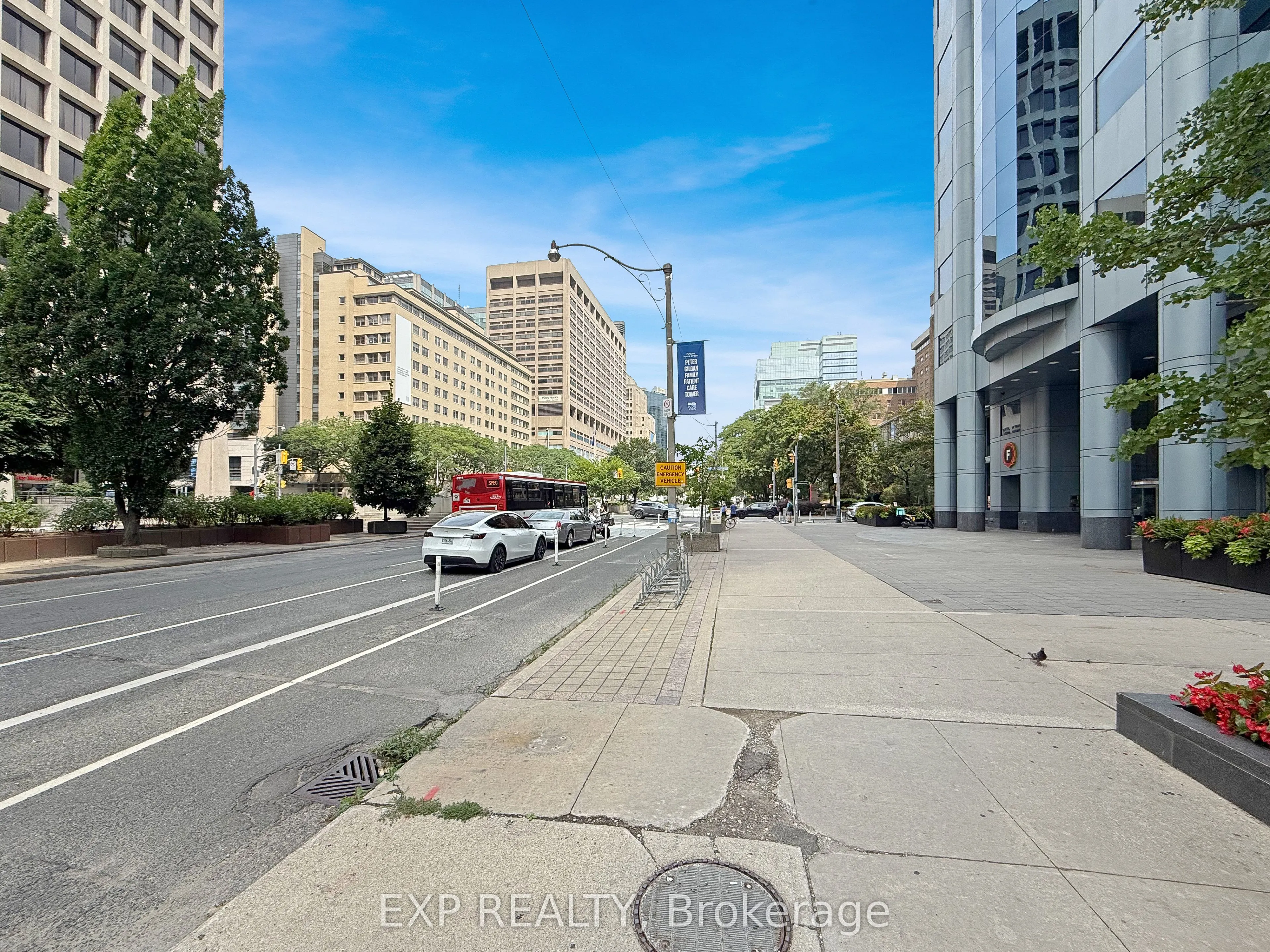 505 University Avenue, #Ground Floor