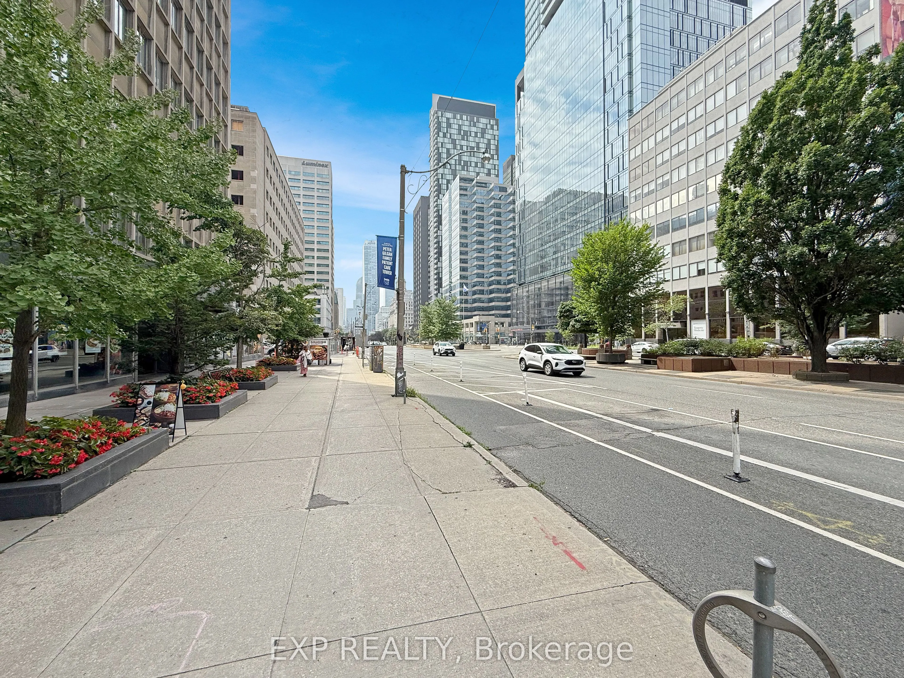 505 University Avenue, #Ground Floor