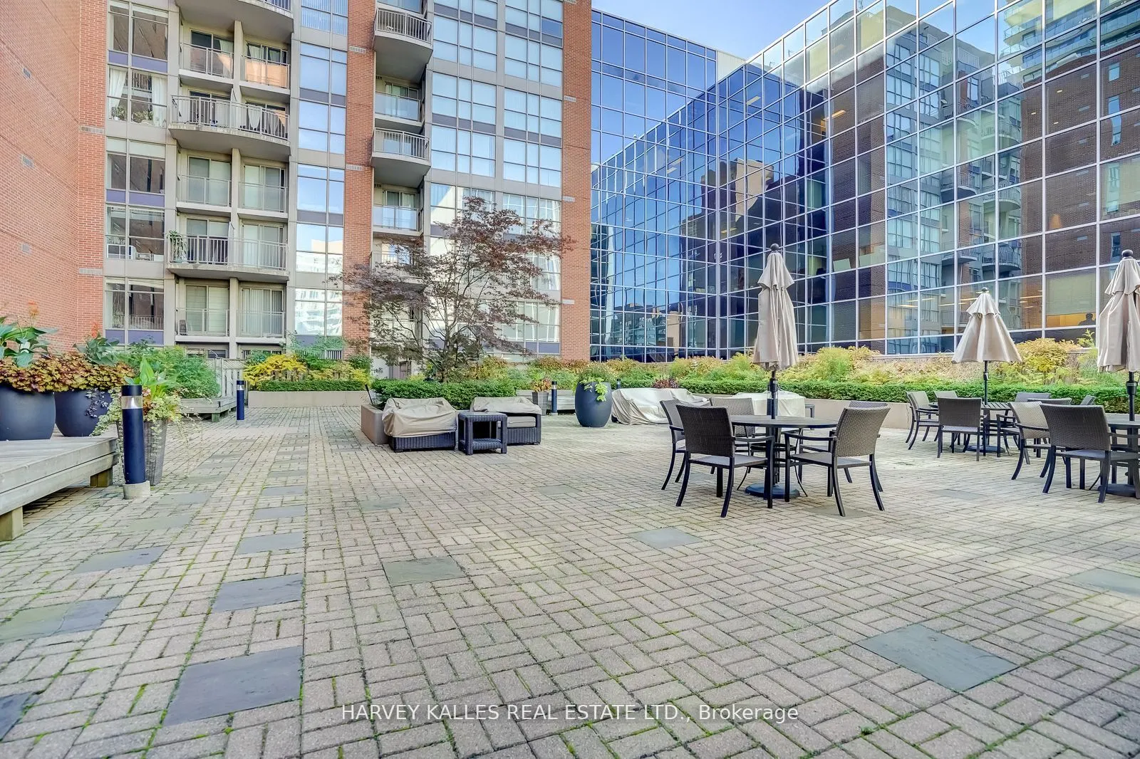 18 Merton Street, #1109