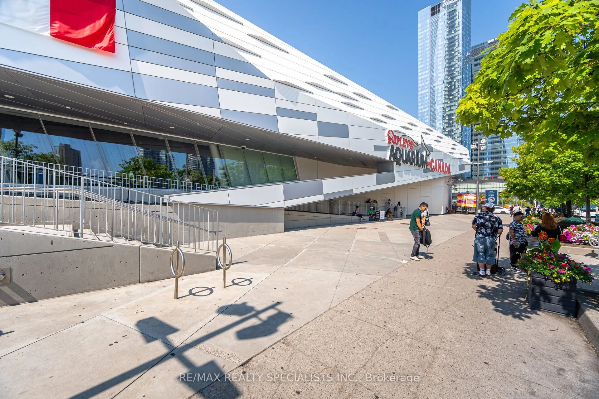 12 York Street, #804