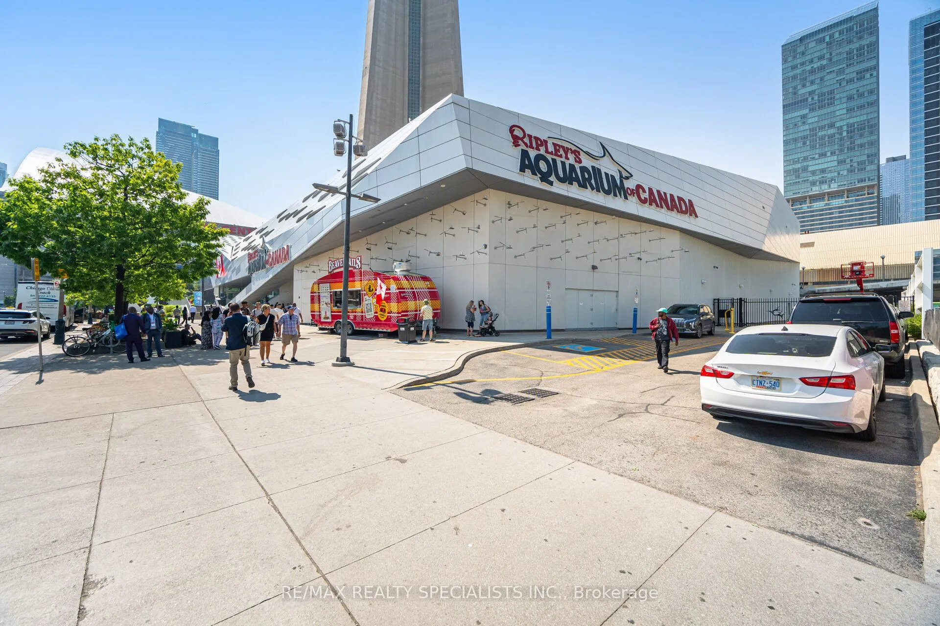 12 York Street, #804