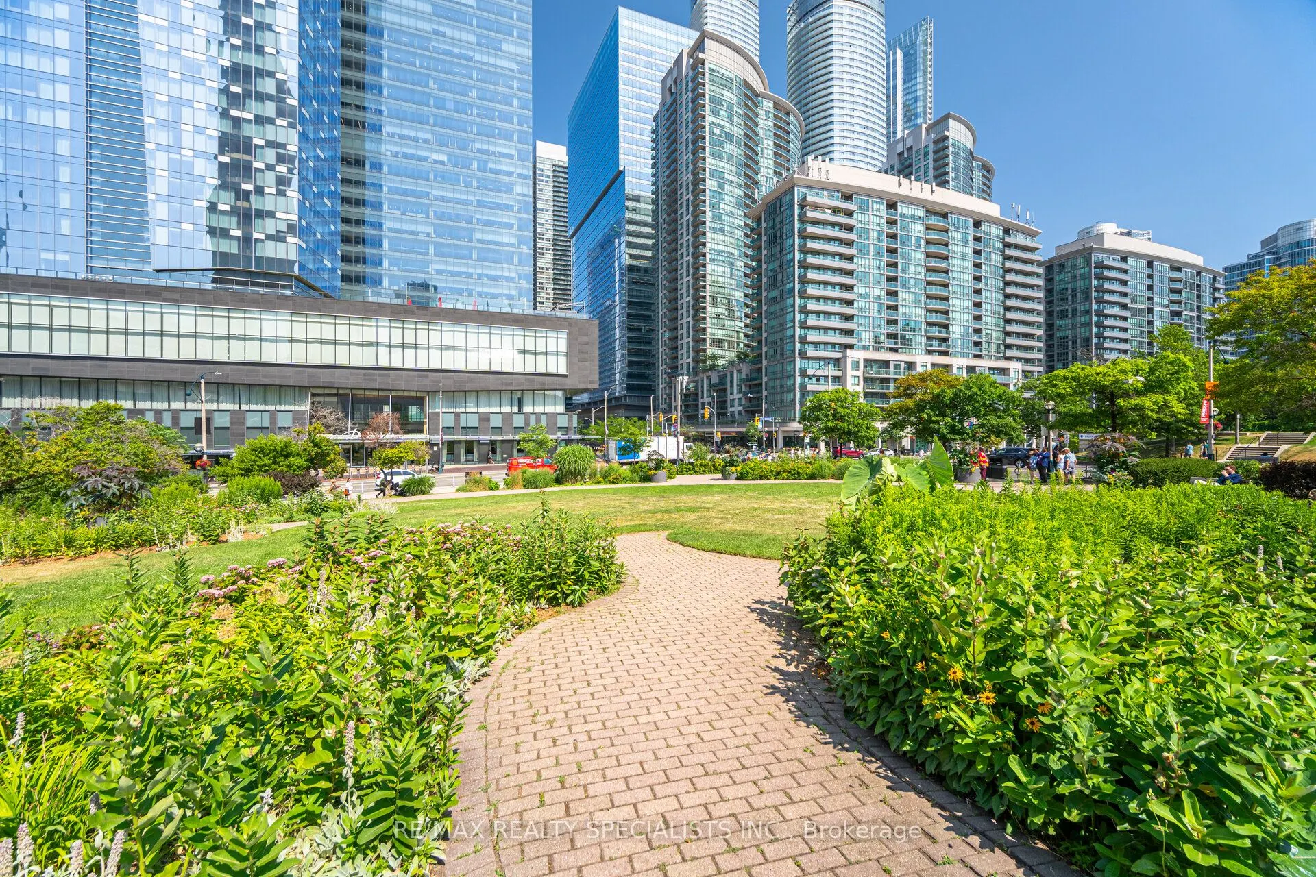 12 York Street, #804