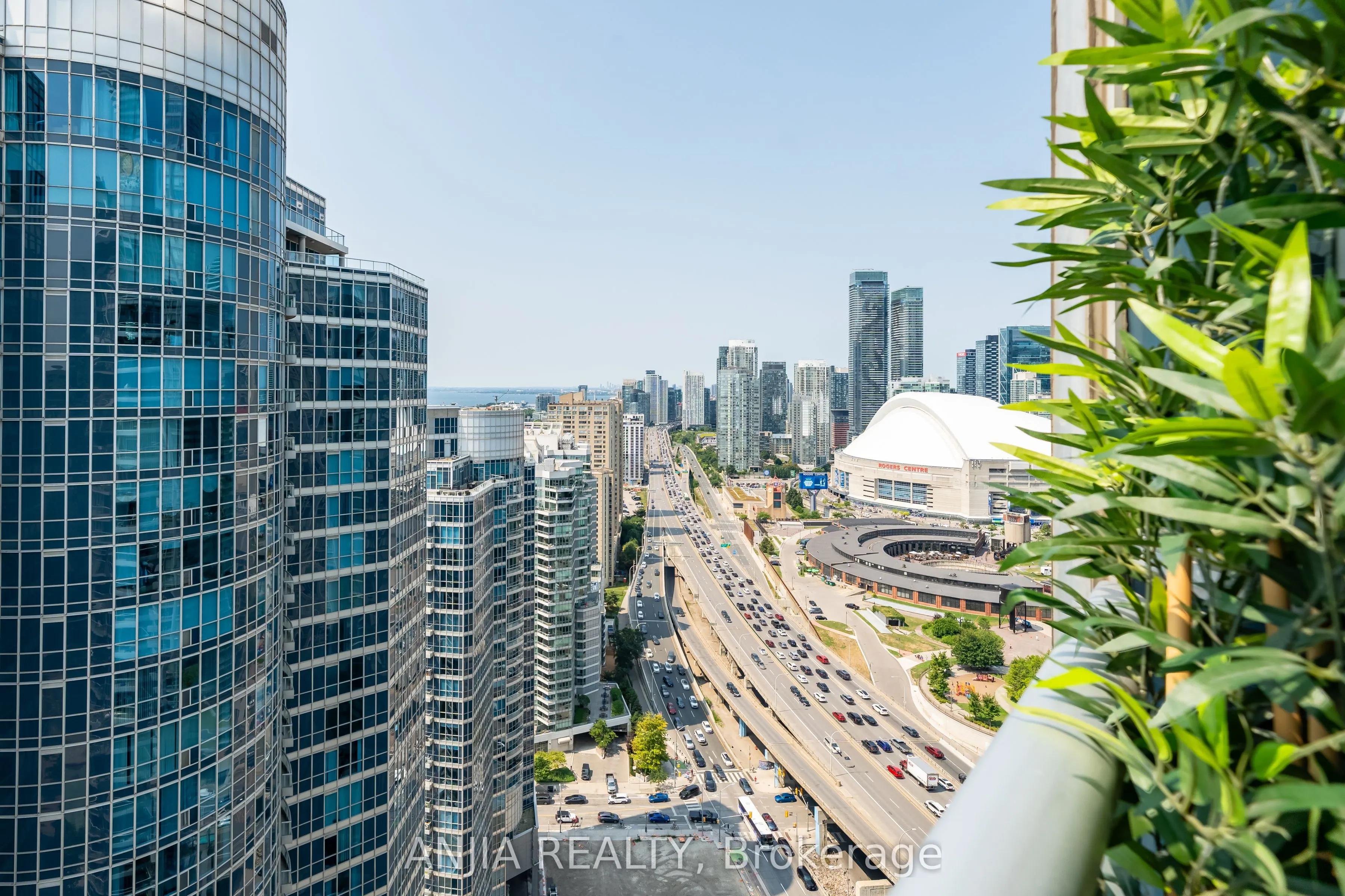 8 York Street, #3411