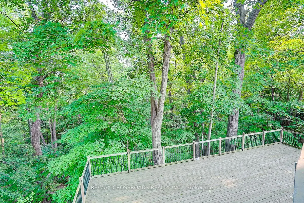 53 Forest Grove (Main Floor) Drive
