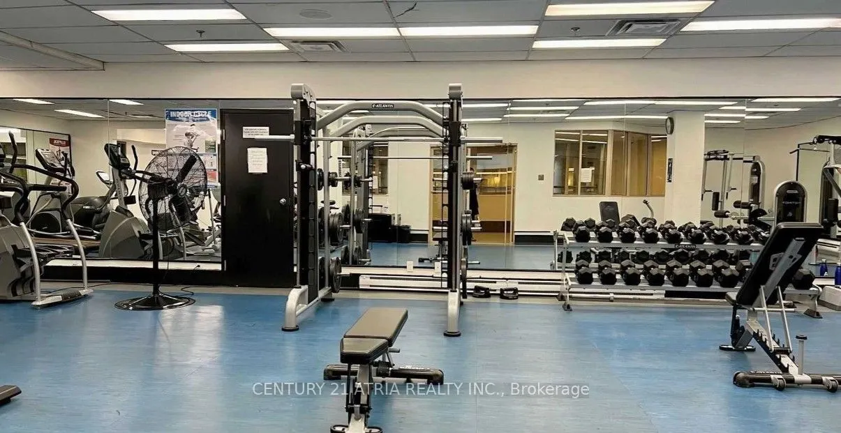 44 Gerrard Street W, #1206