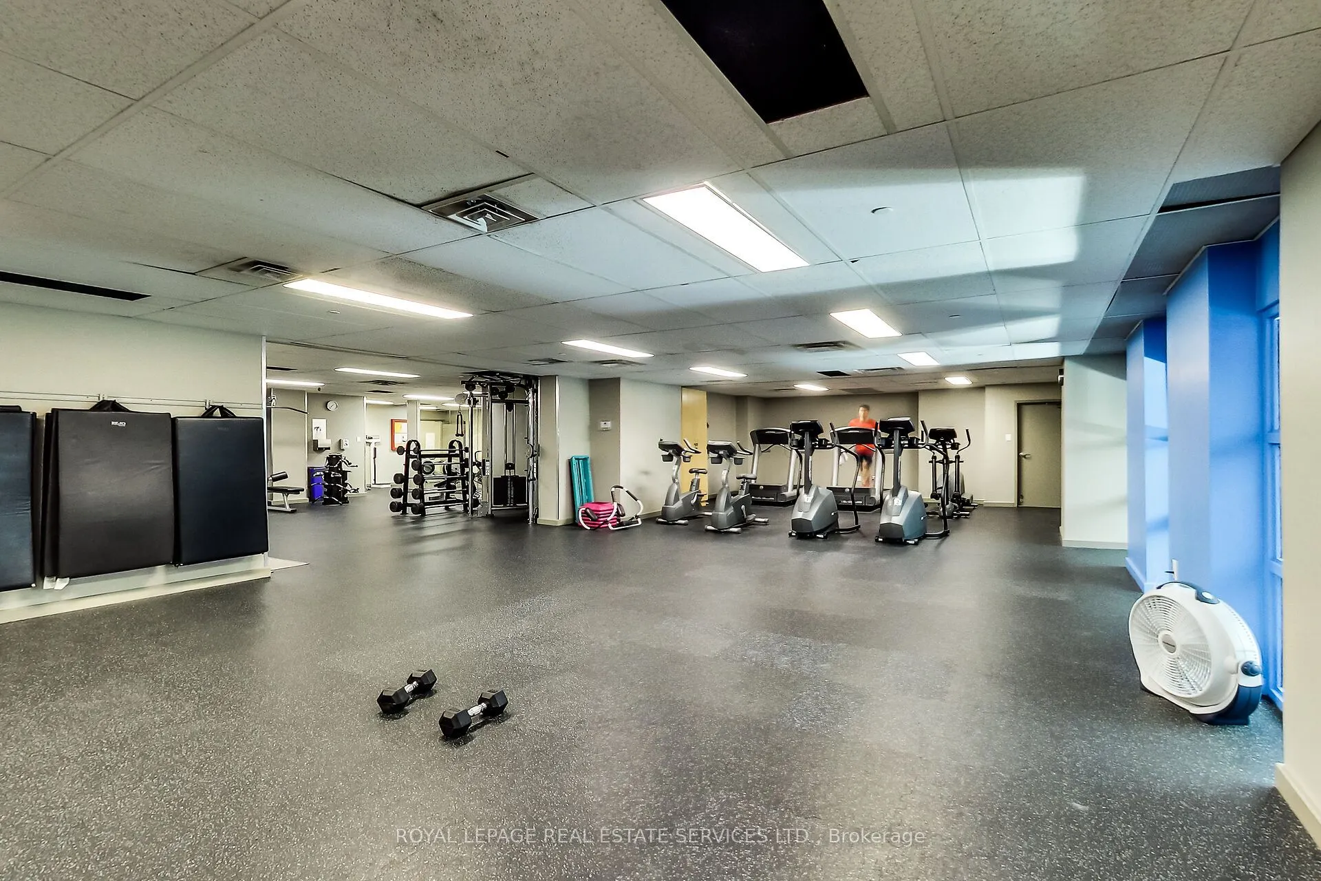 705 King Street W, #1614