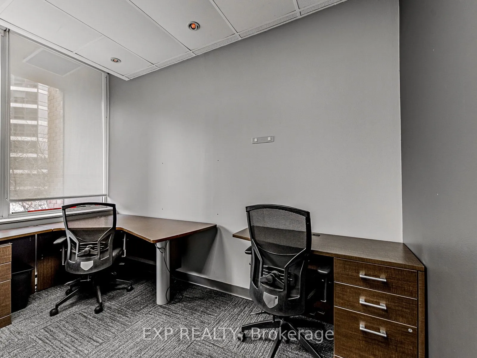 1033 Bay Street, #317