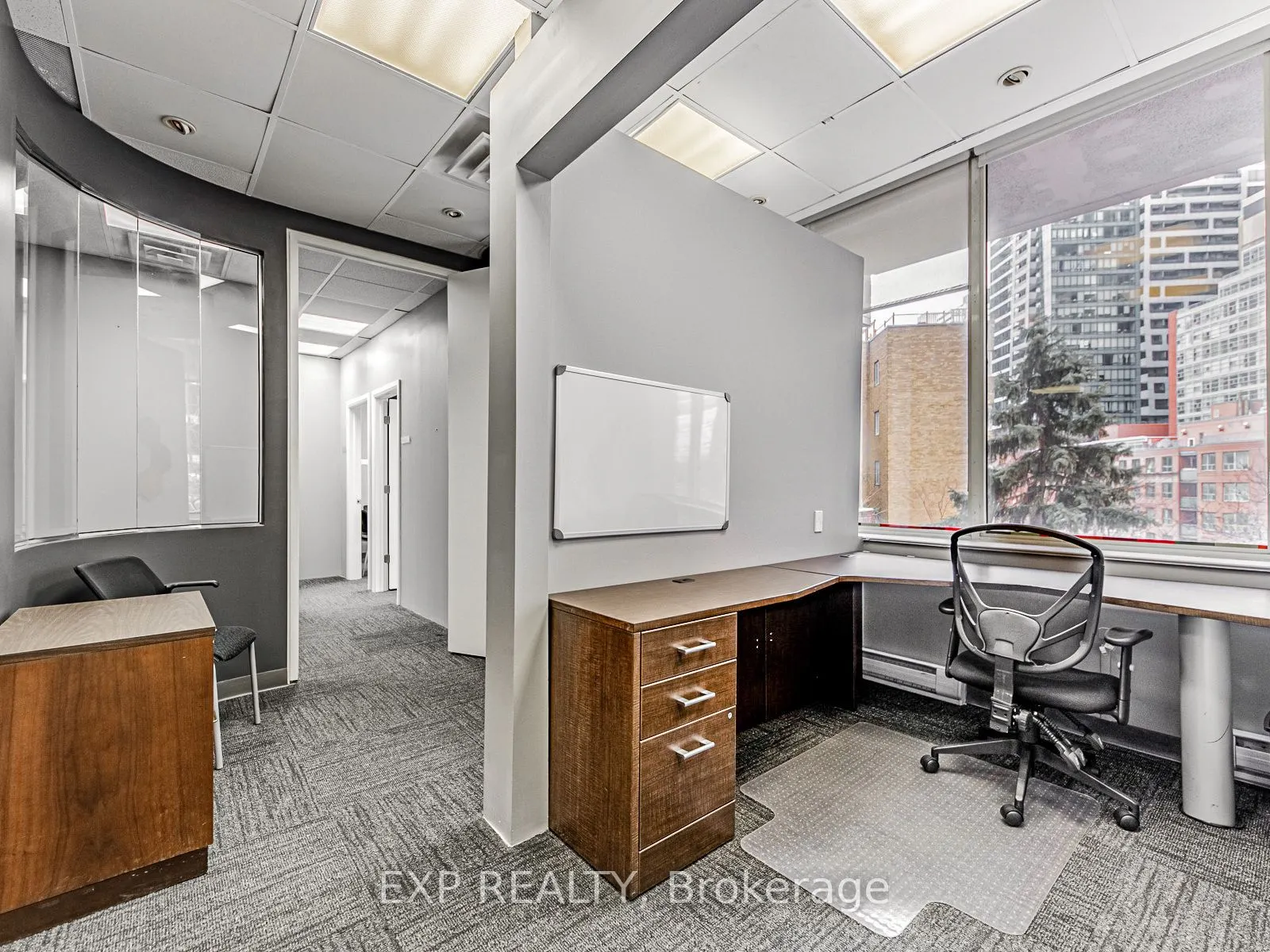 1033 Bay Street, #317