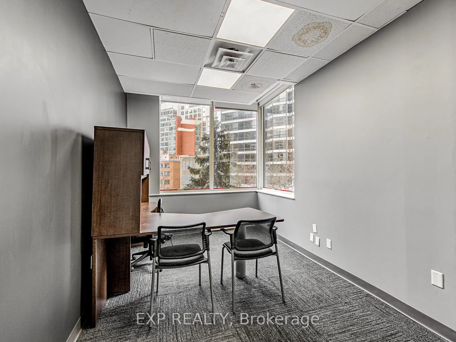 1033 Bay Street, #317