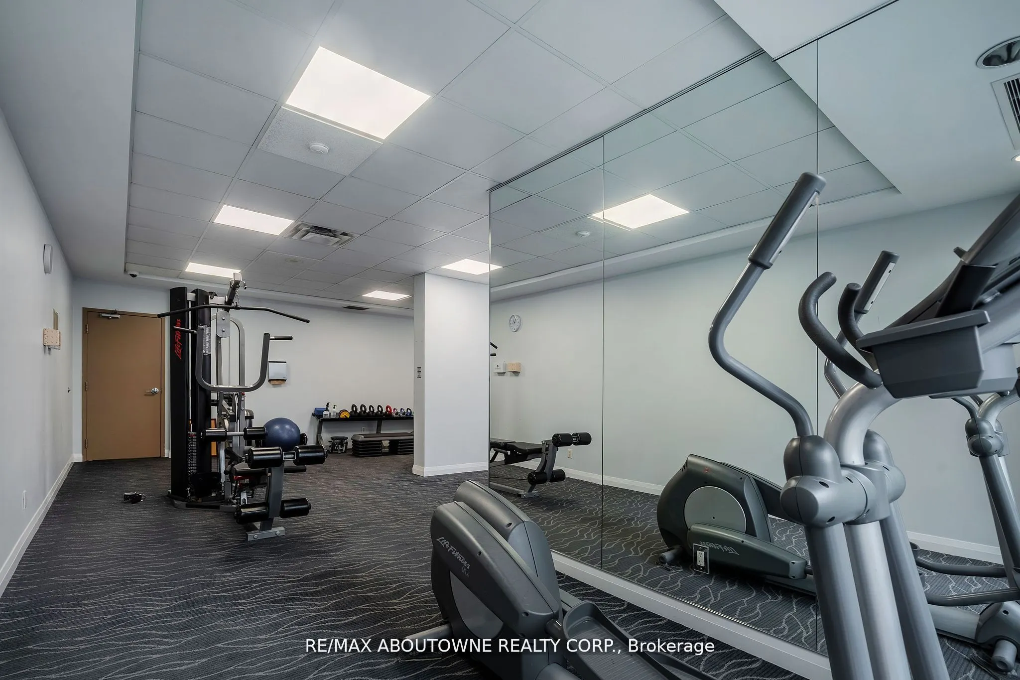 1121 Bay Street, #203