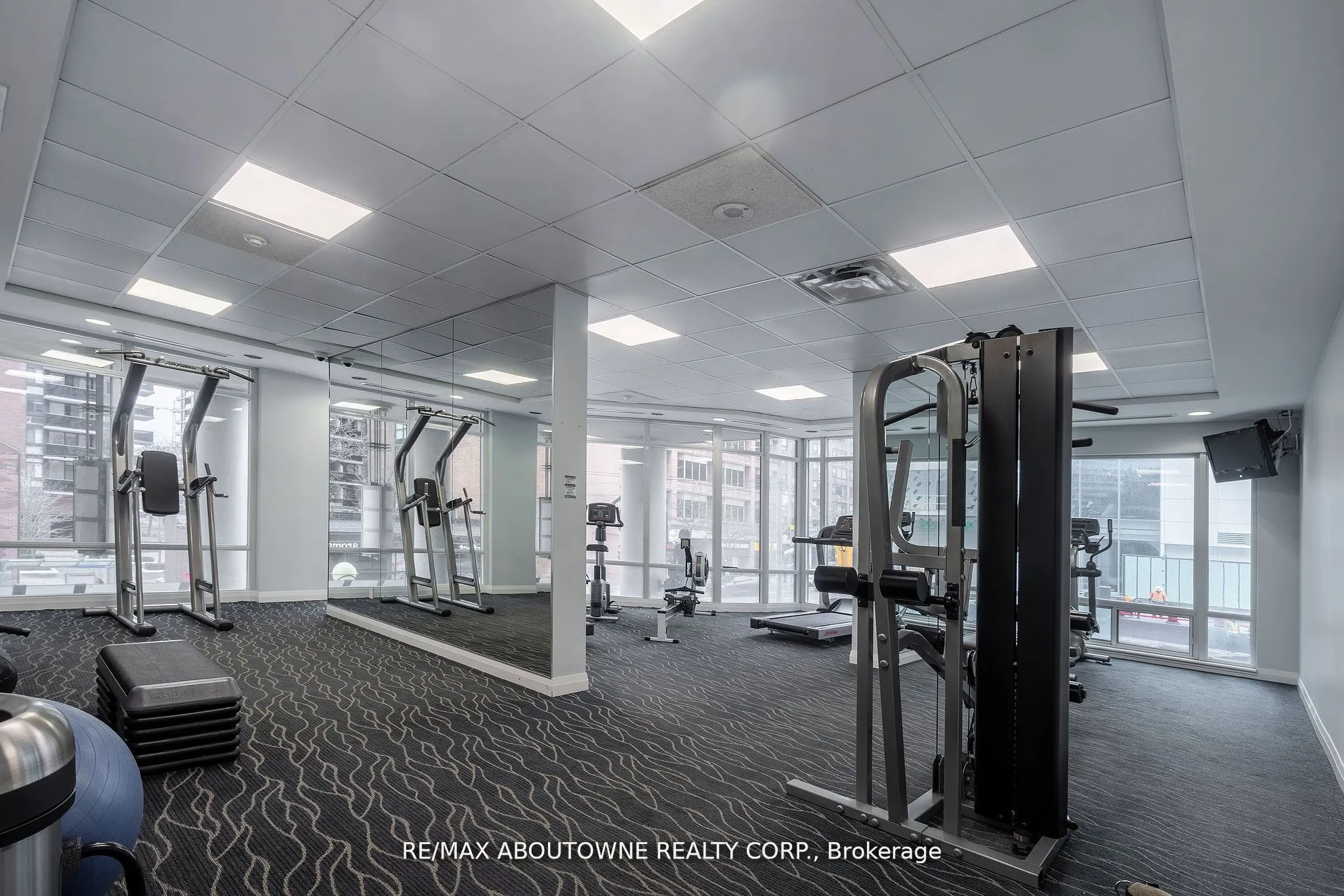 1121 Bay Street, #203