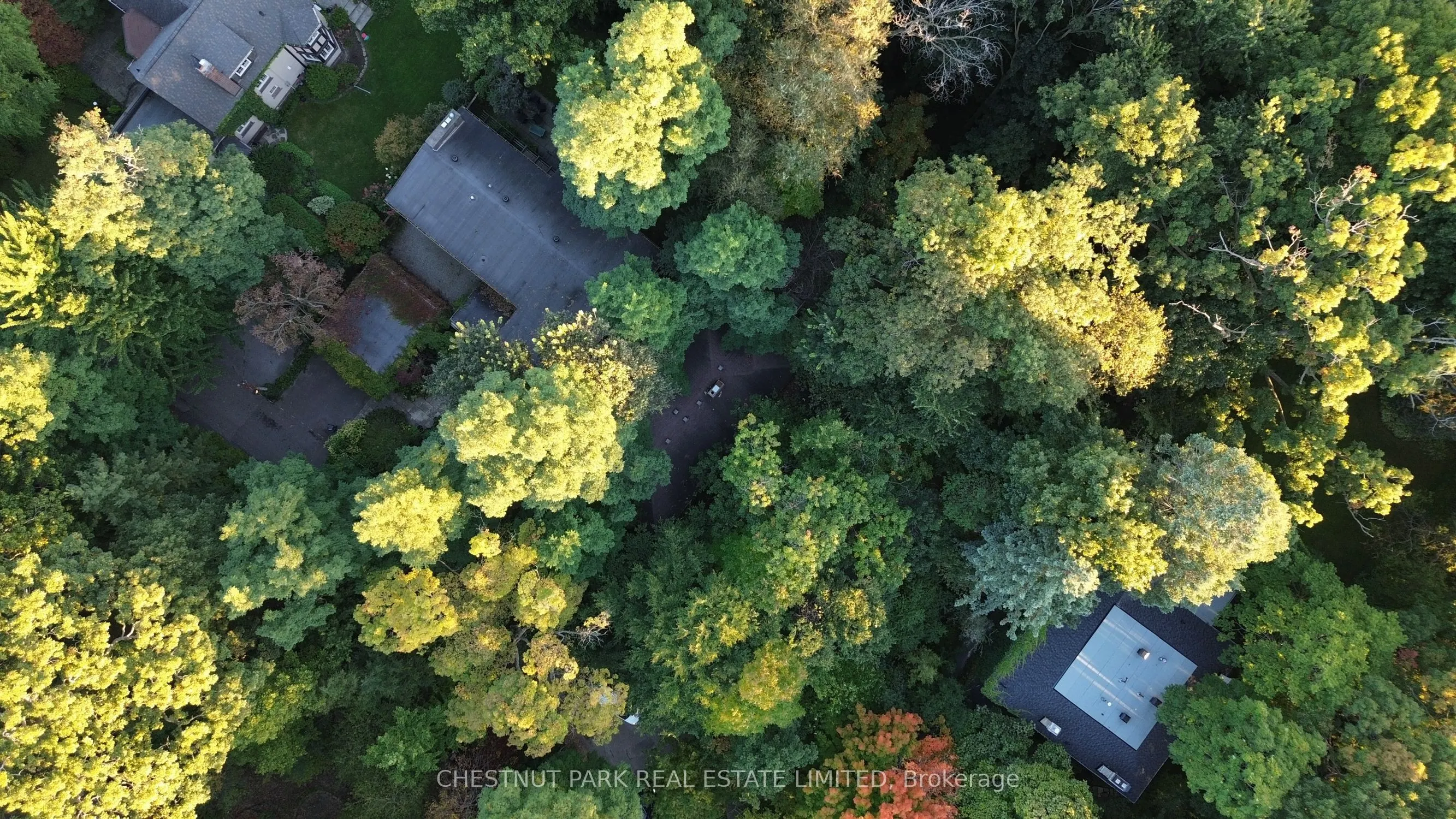 6C Wychwood Park