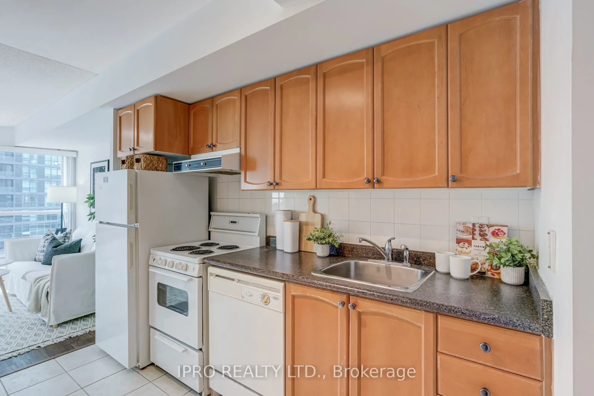 219 Fort York Boulevard, #1407