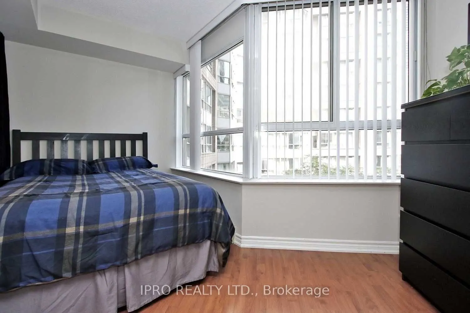 711 Bay Street, #520
