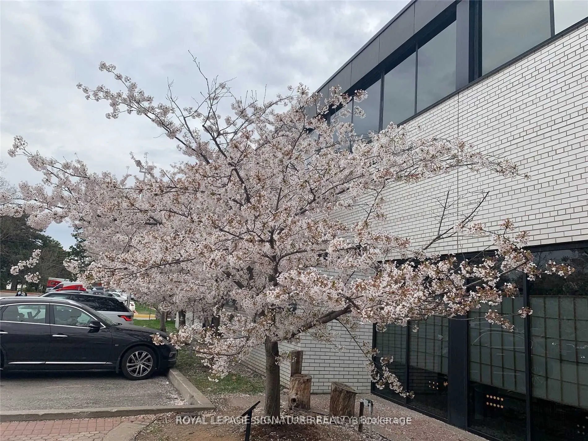 6 Sakura Way, #245