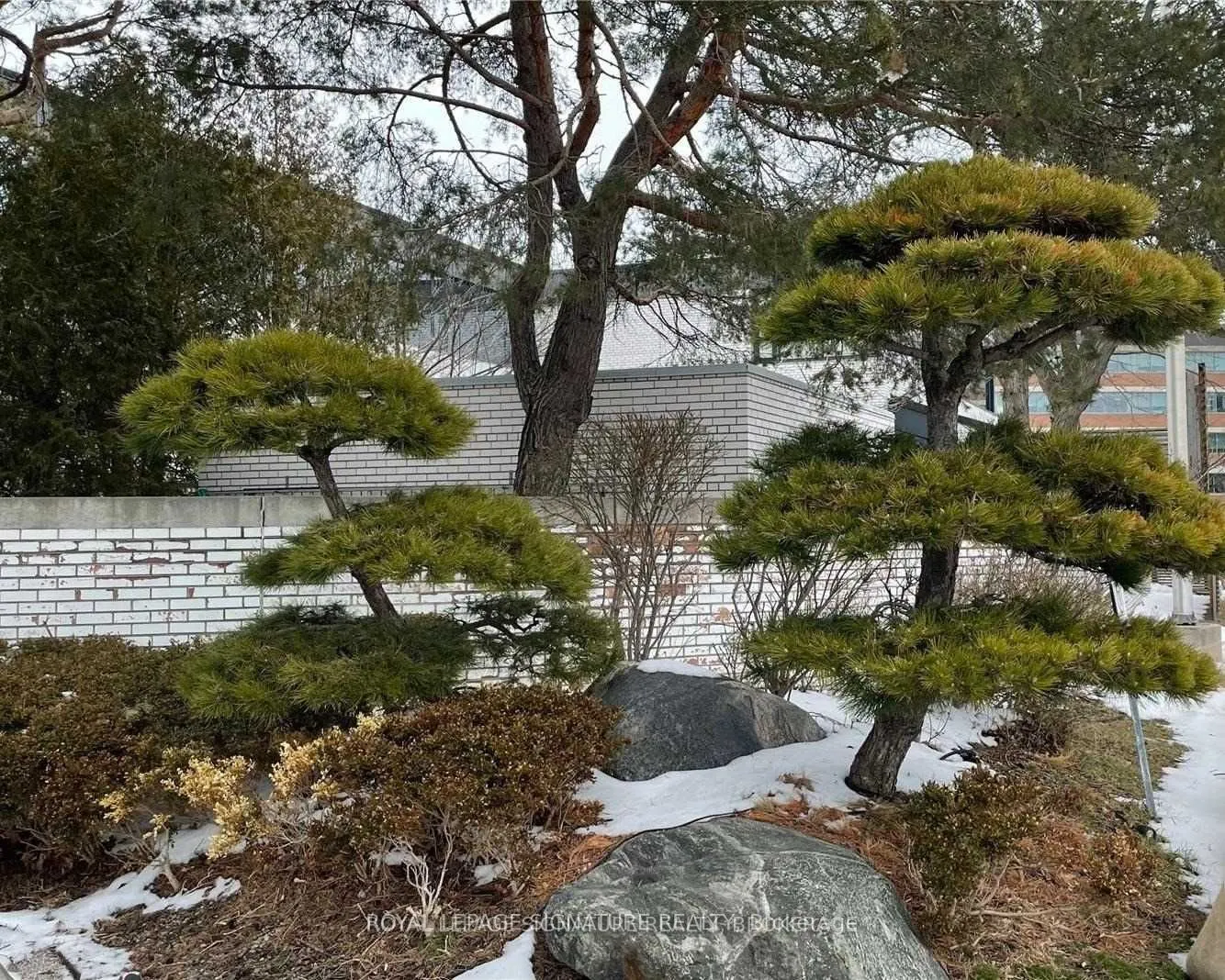 6 Sakura Way, #245