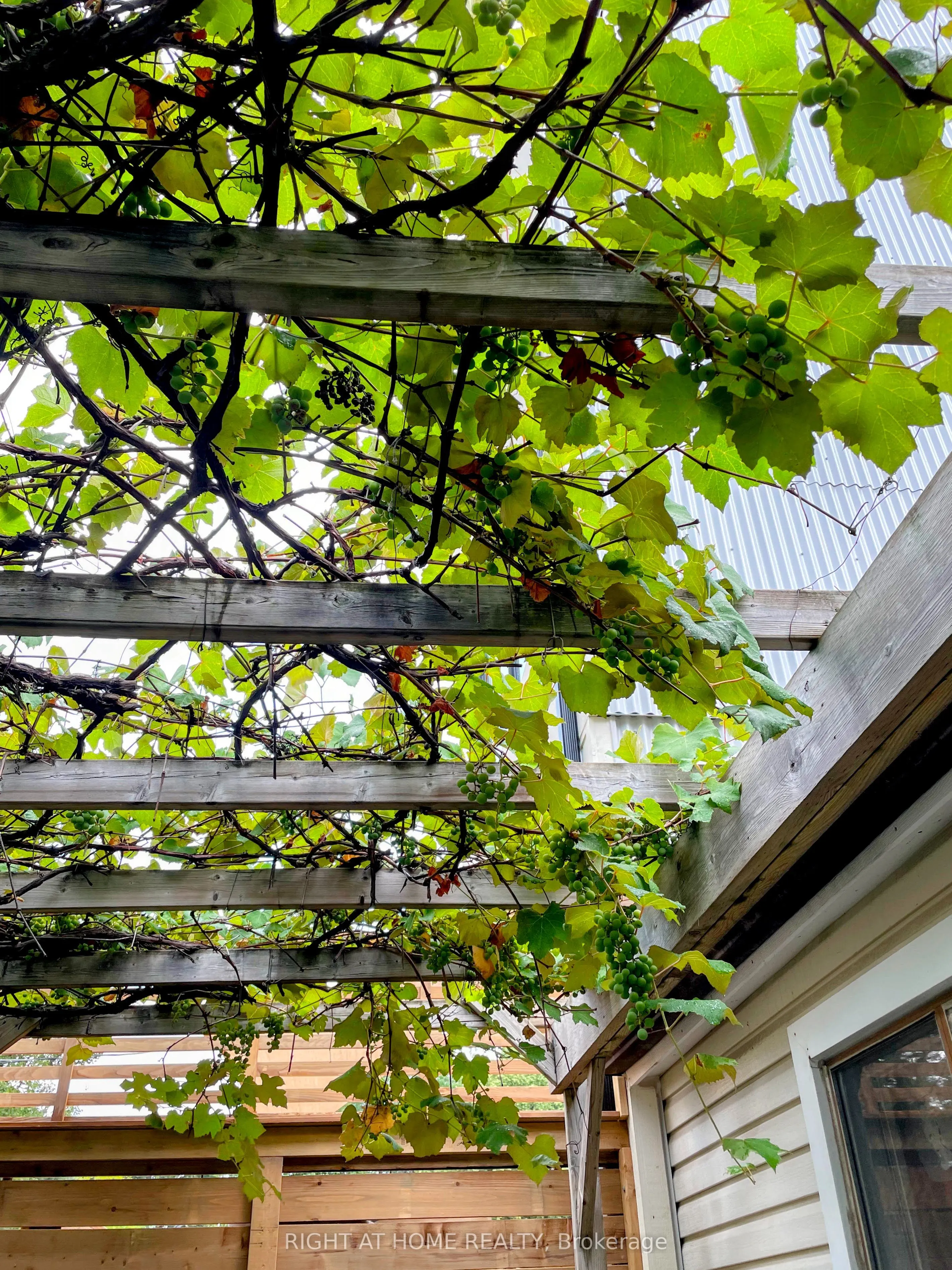 60 Fennings Street, #Rear