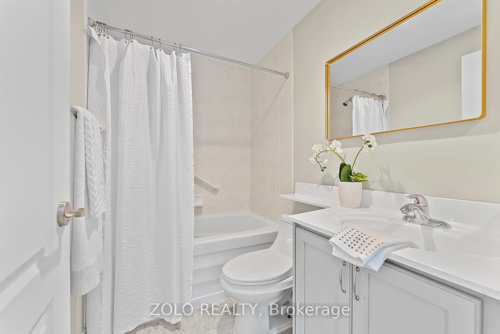 319 Merton Street, #113