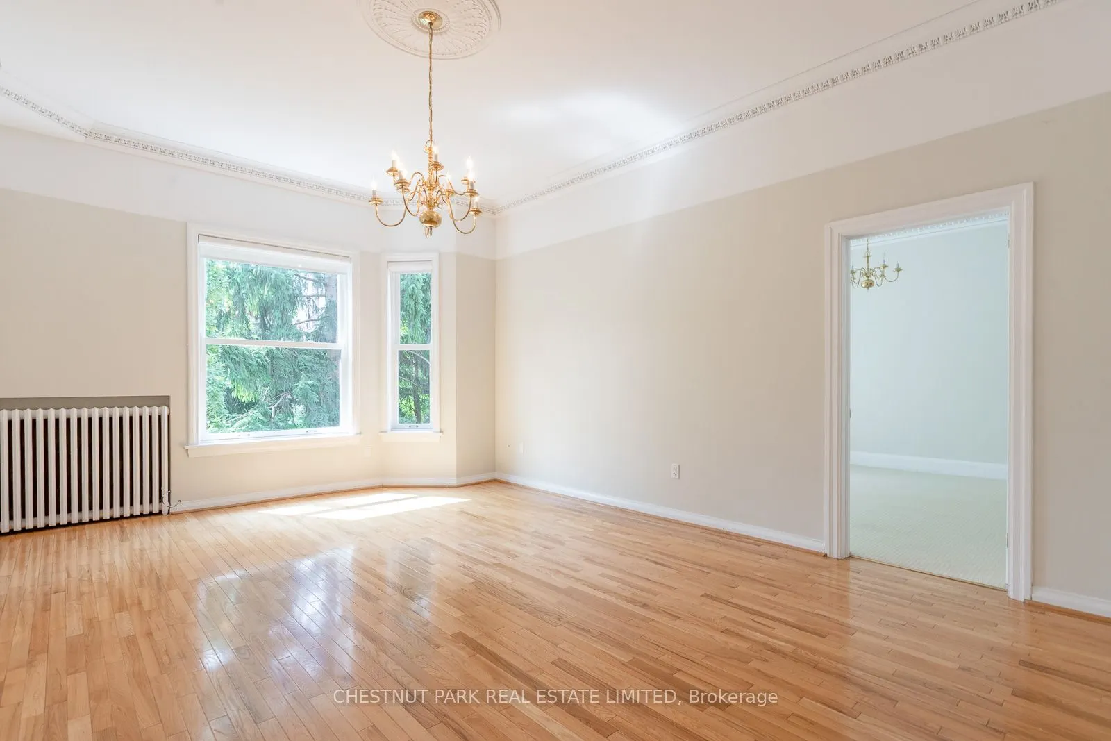 74 South Drive, #Main