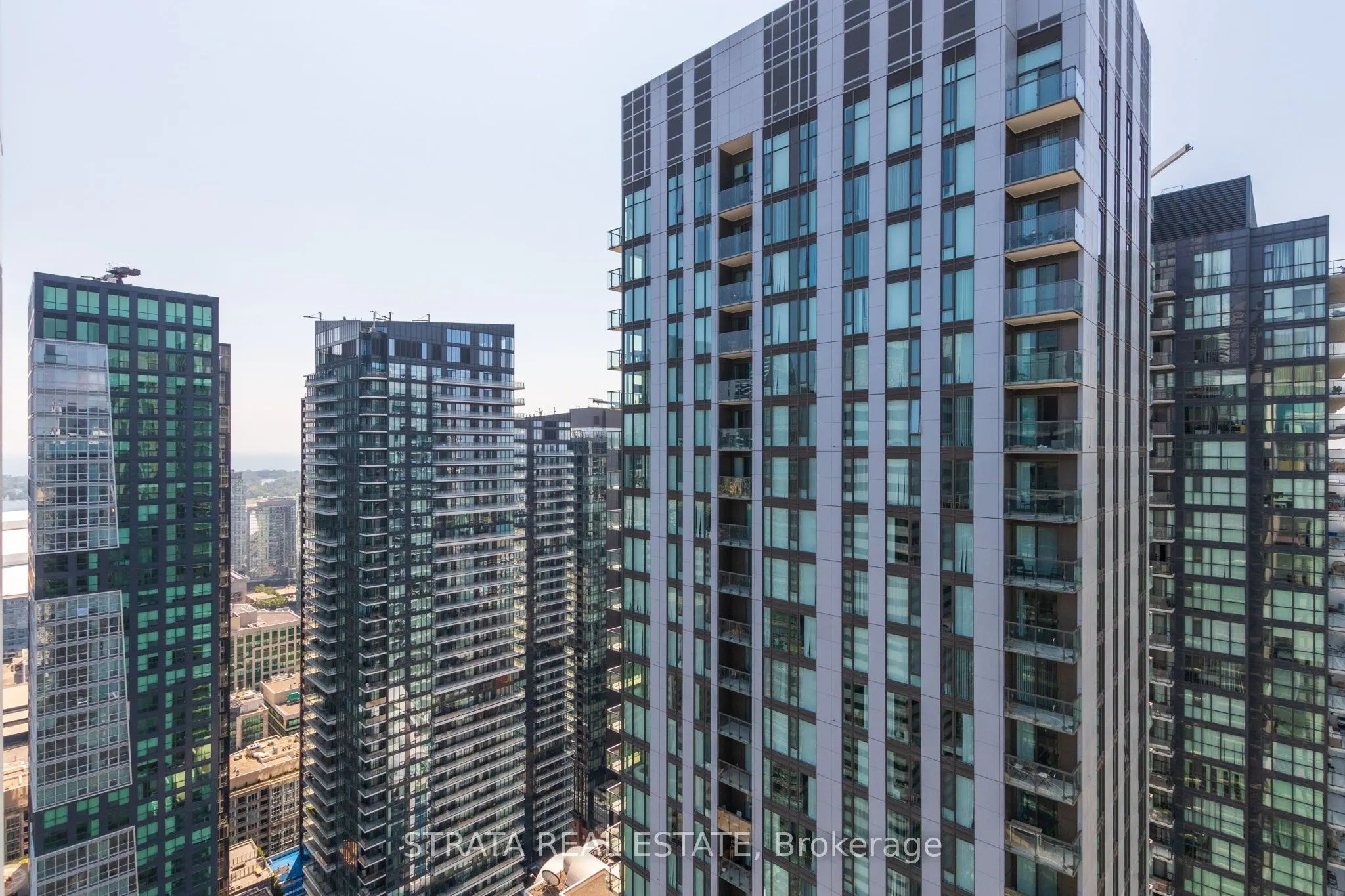 21 Widmer Avenue, #4202