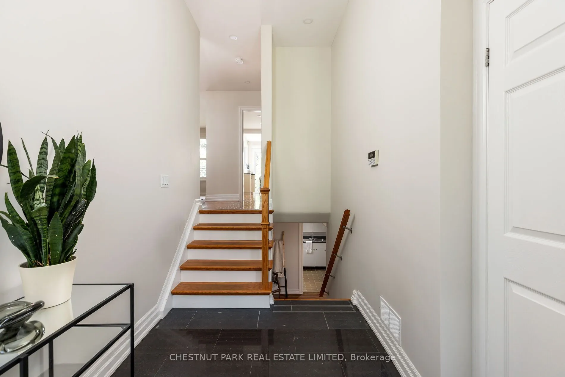 75 Paperbirch Drive