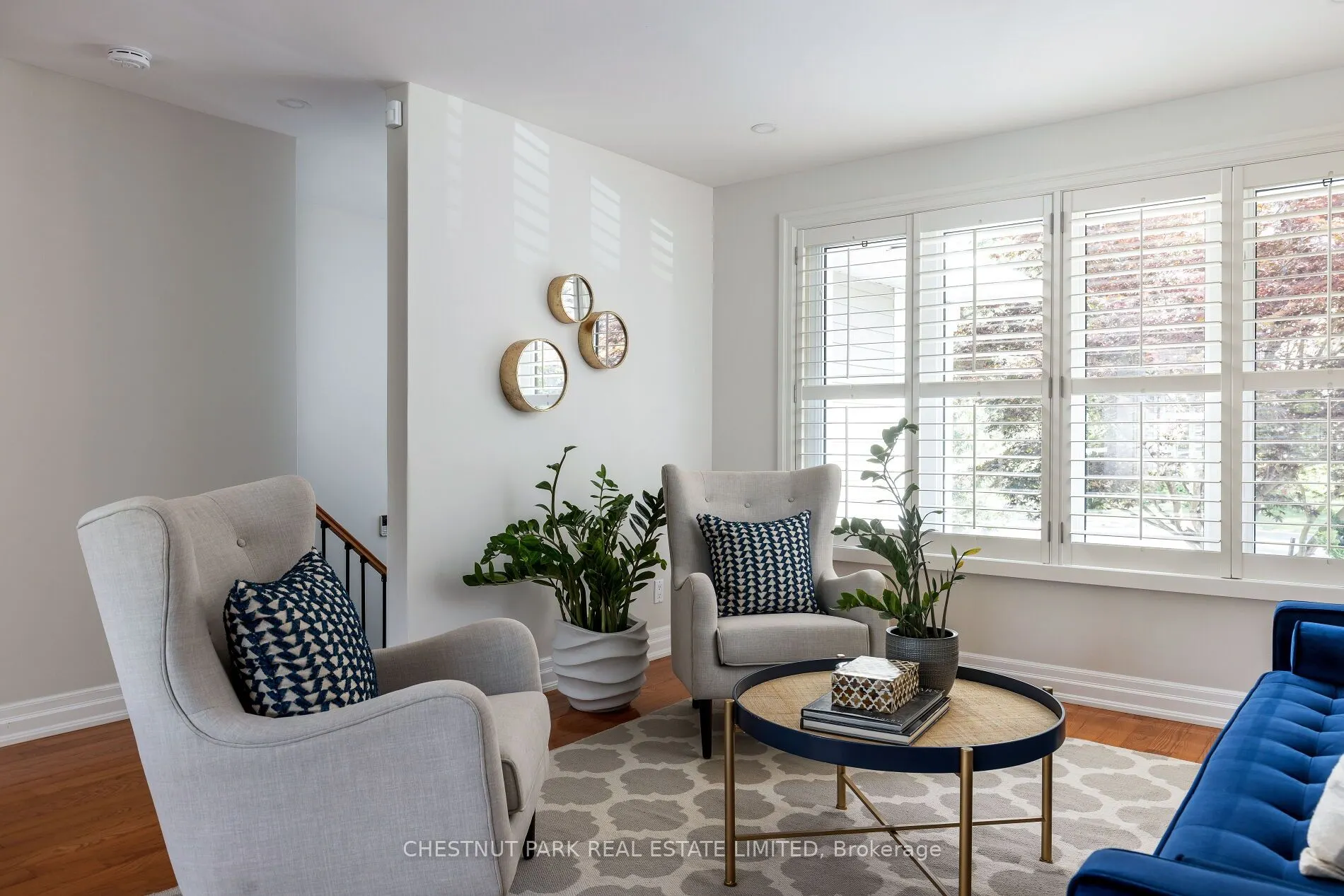 75 Paperbirch Drive