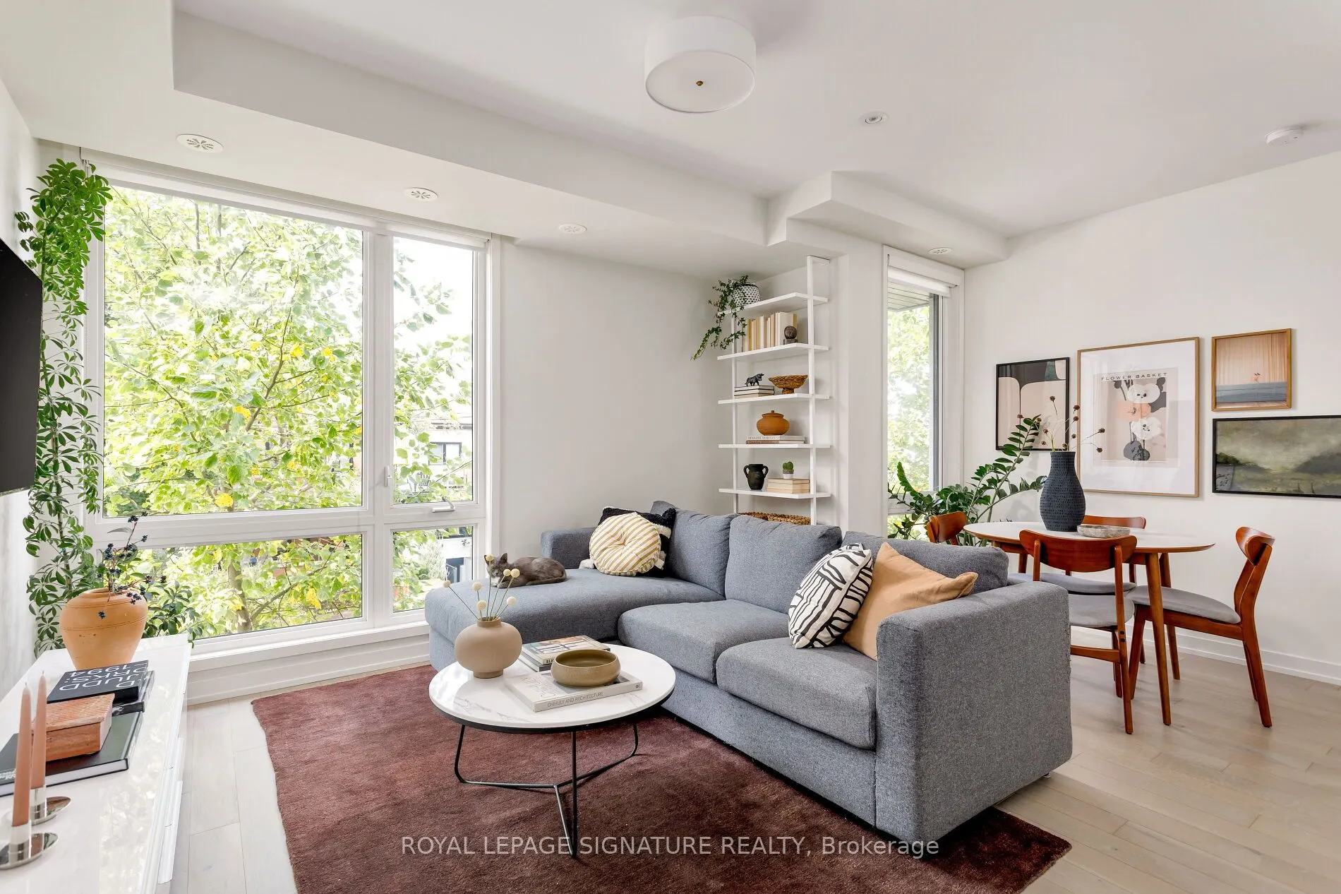 31 Florence Street, #12