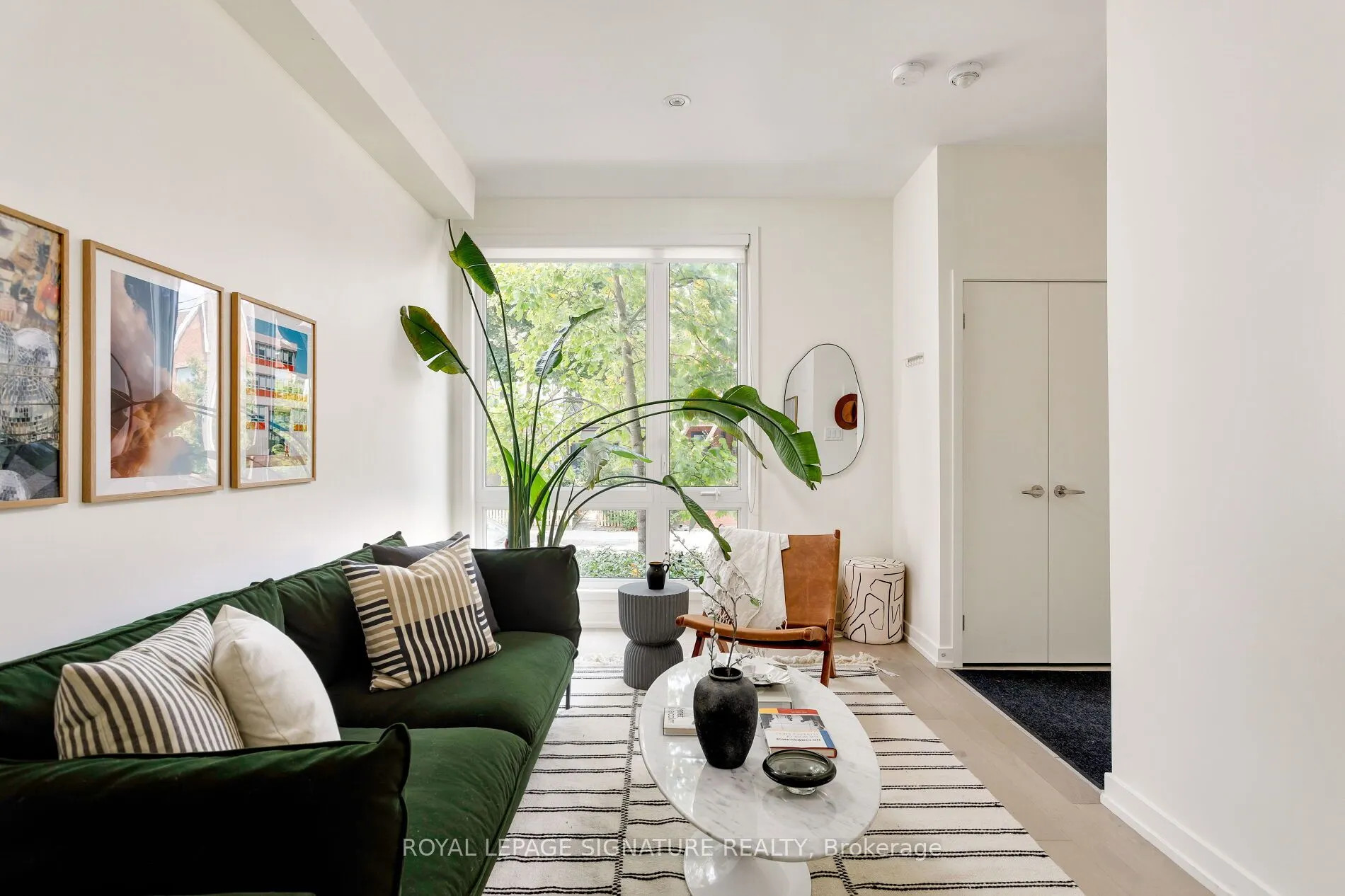 31 Florence Street, #12