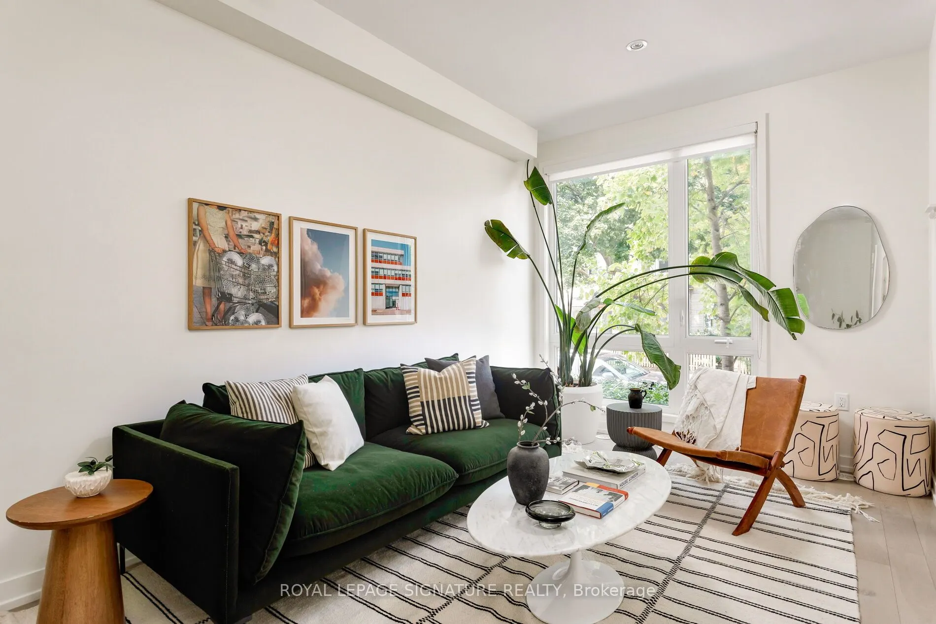 31 Florence Street, #12