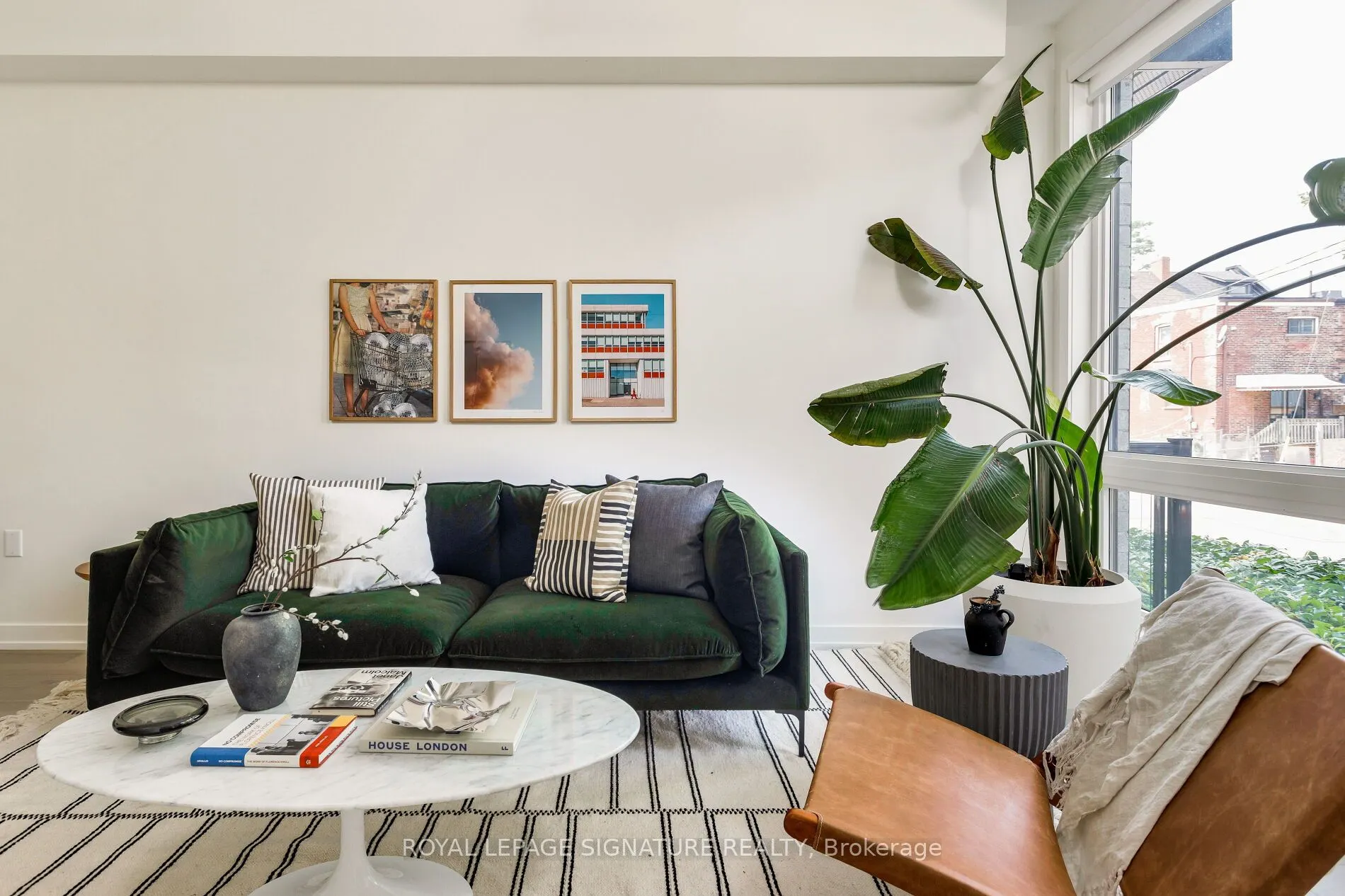 31 Florence Street, #12