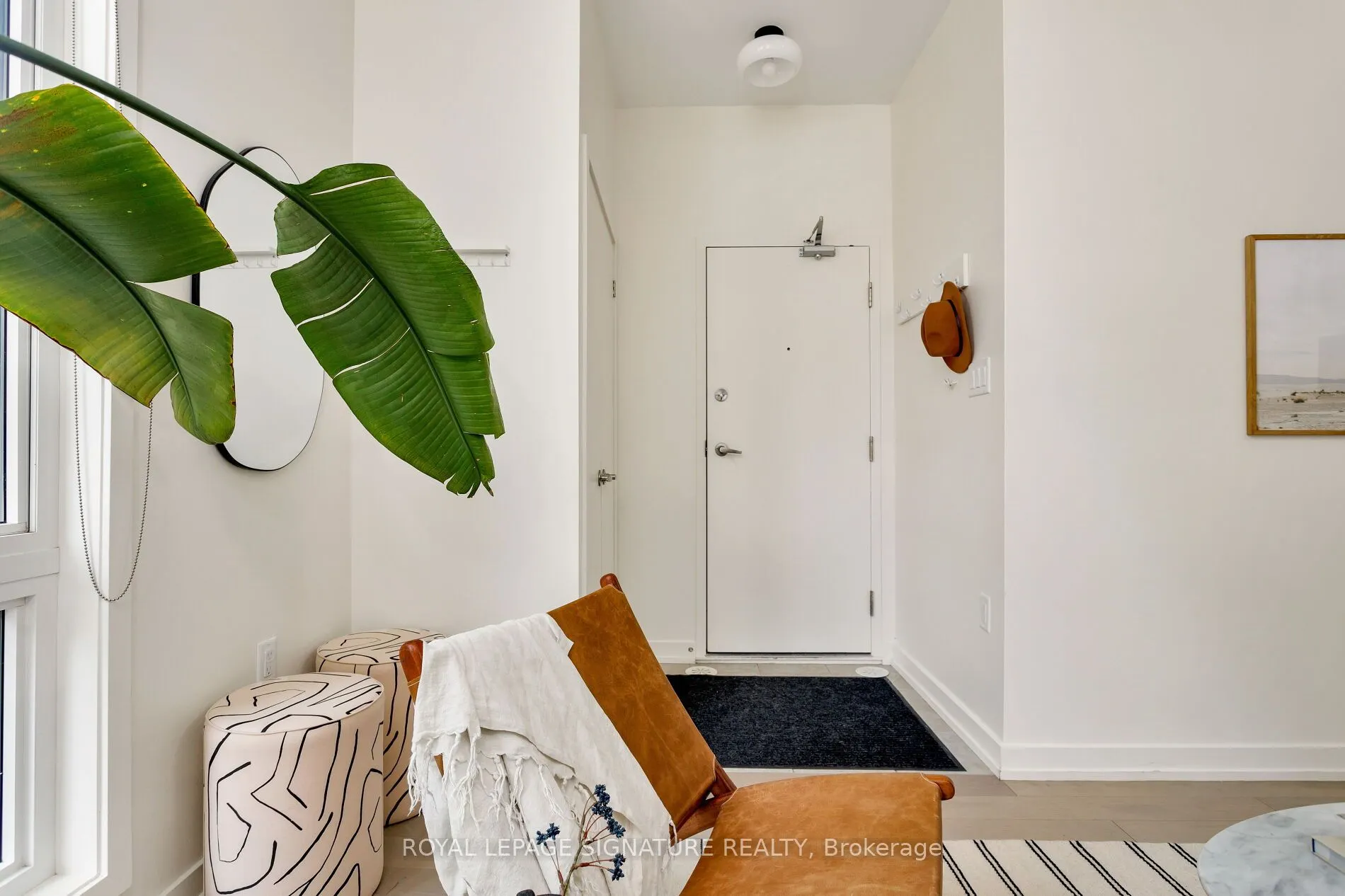 31 Florence Street, #12