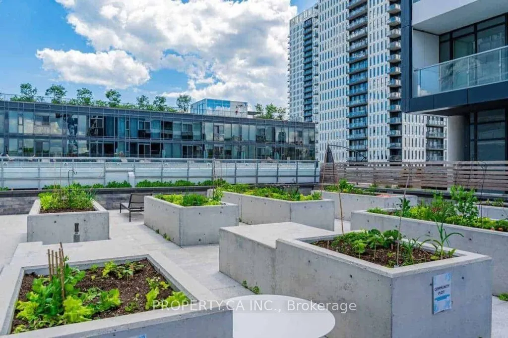 34 Tubman Avenue, #304