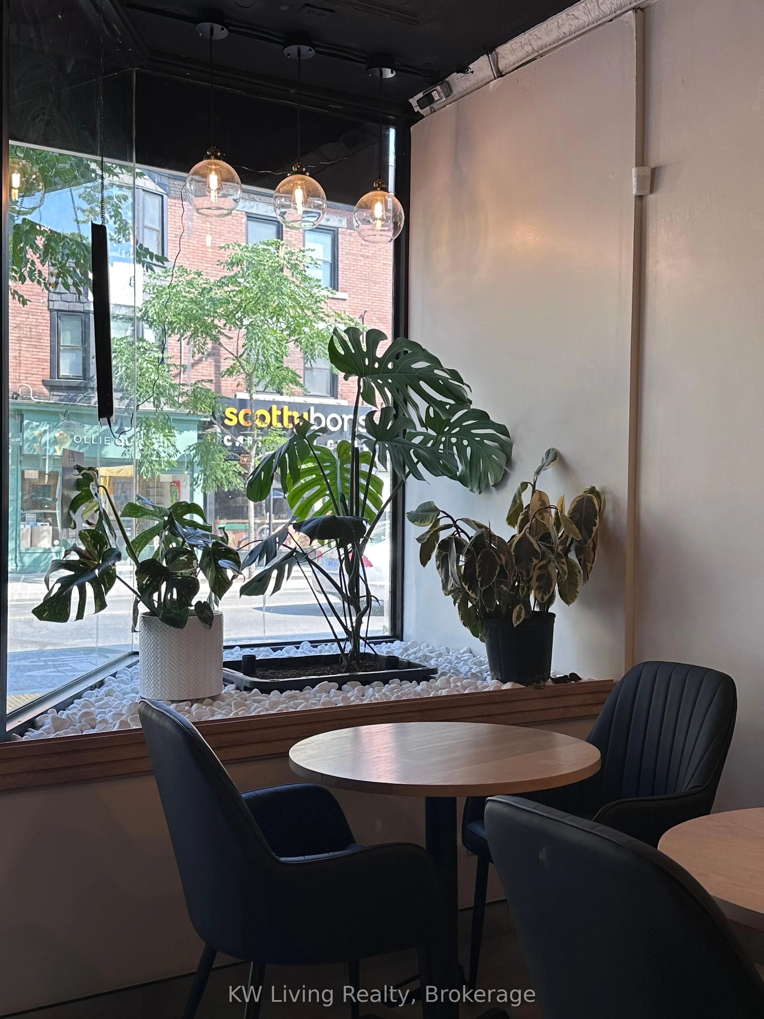 491 Bloor Street W