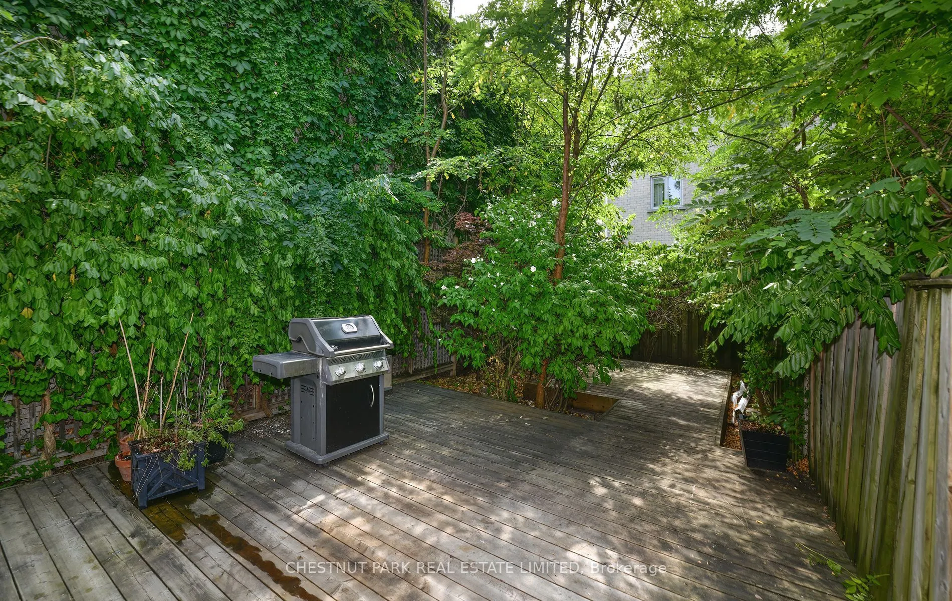 31 Birch Avenue