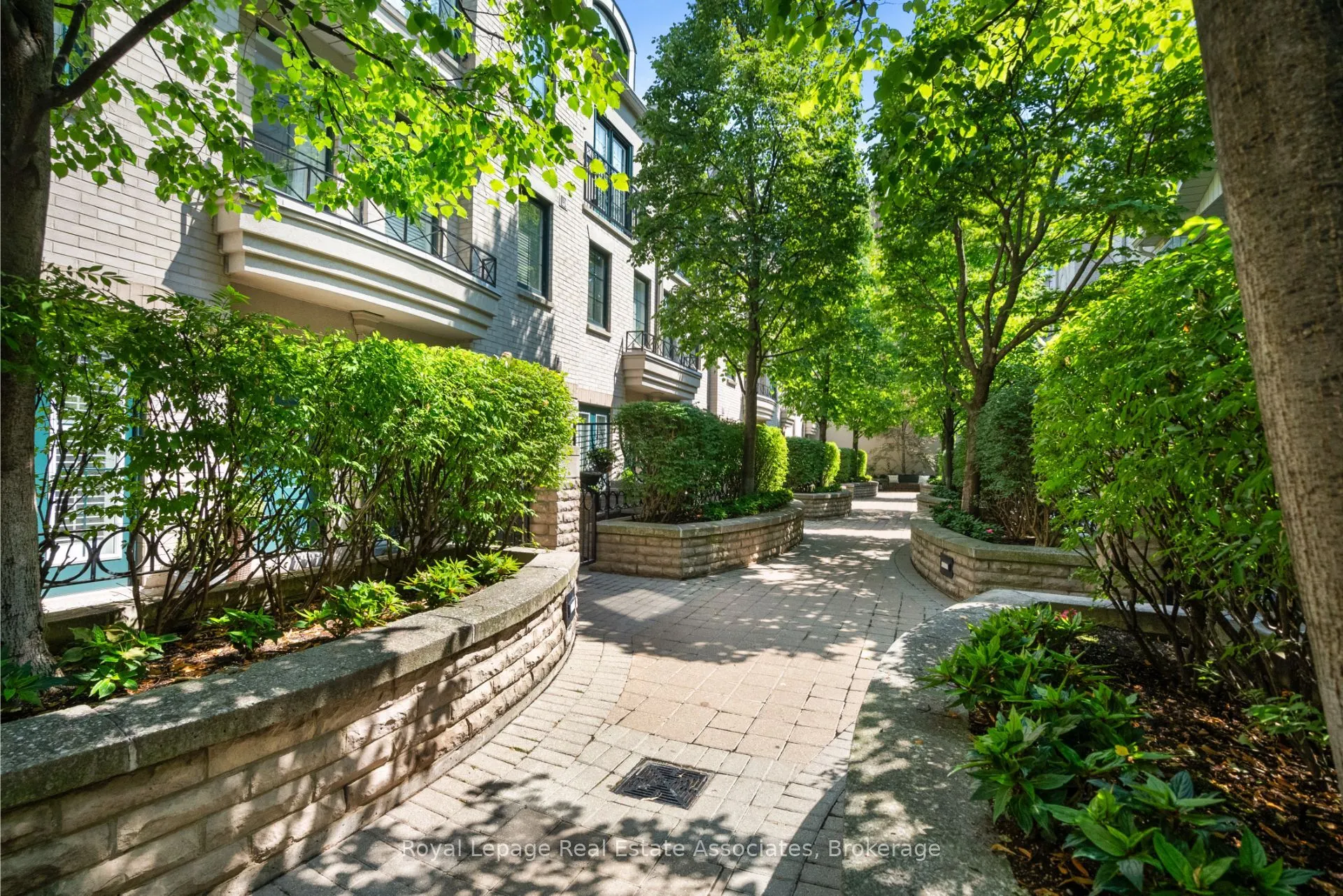 1 Baxter Street, #8