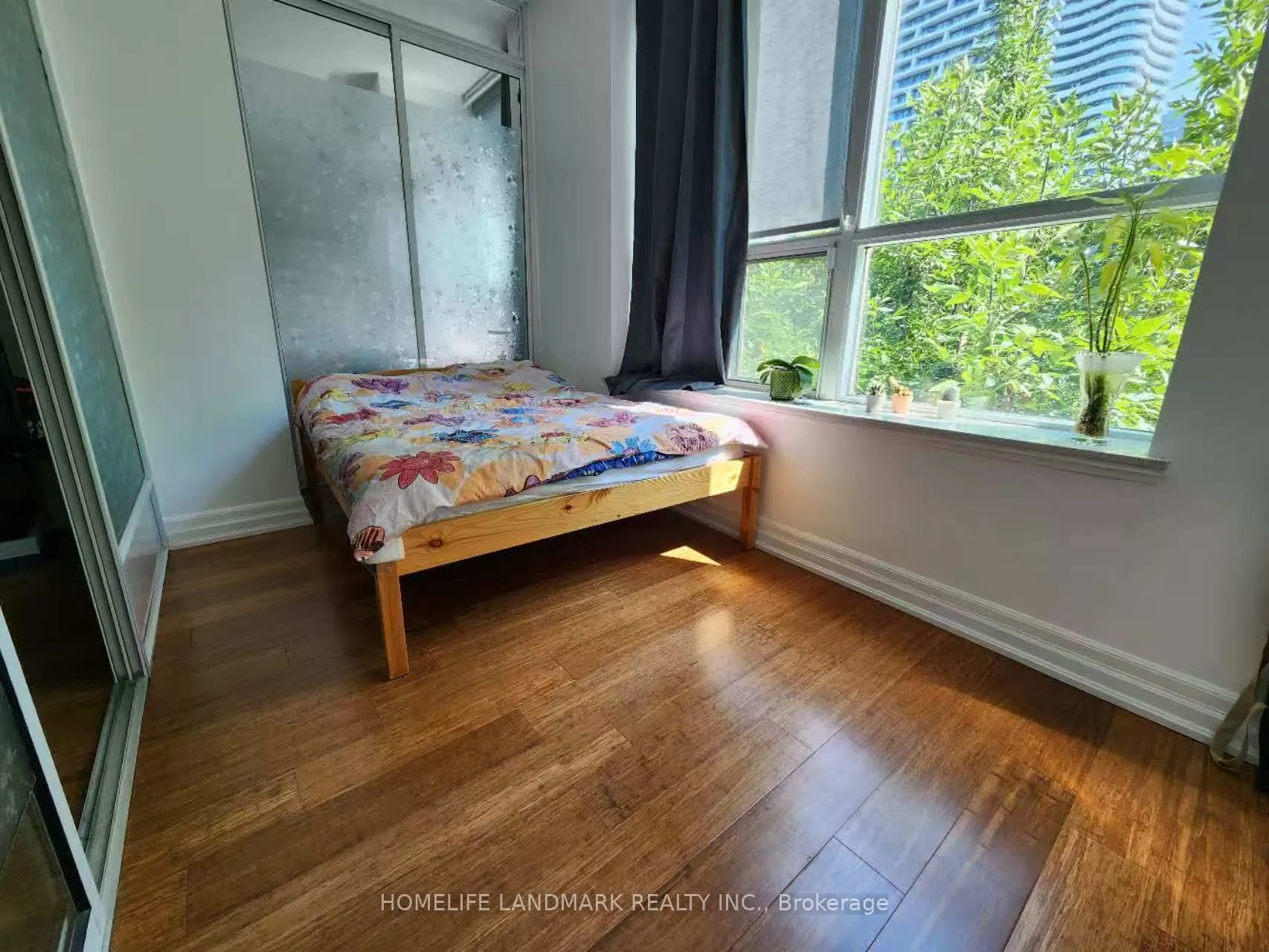 70 Alexander Street, #204