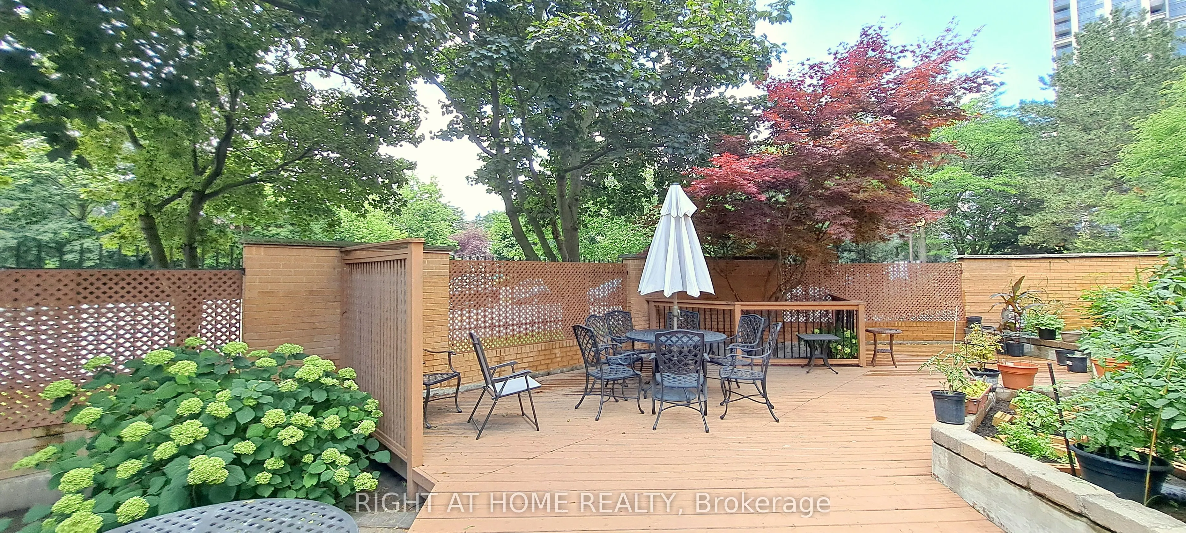 131 Beecroft Road, #1607