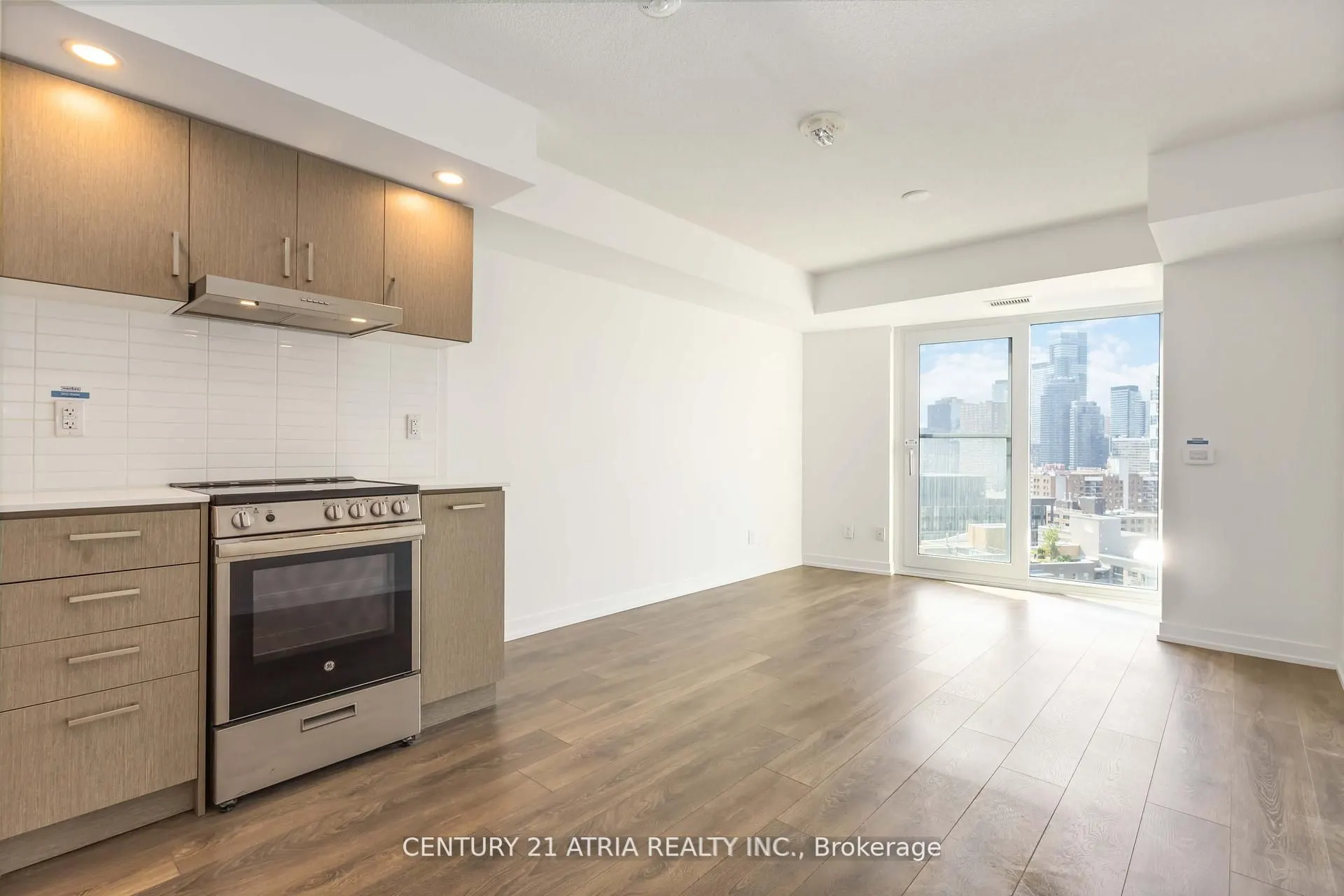219 Dundas Street E, #2310