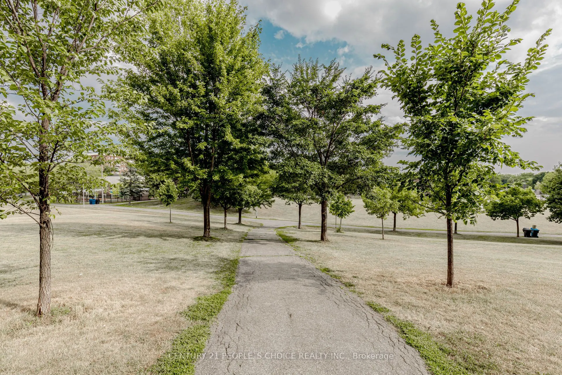 45 Sunrise Avenue, #1105