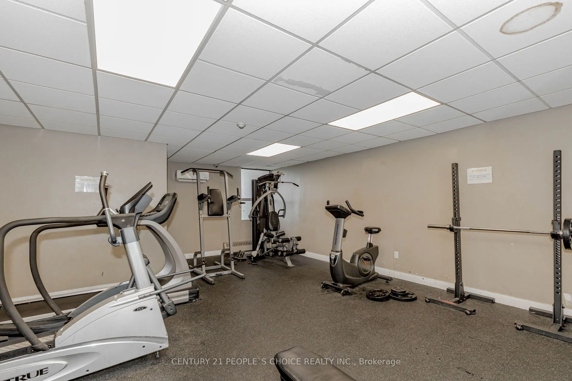 45 Sunrise Avenue, #1105