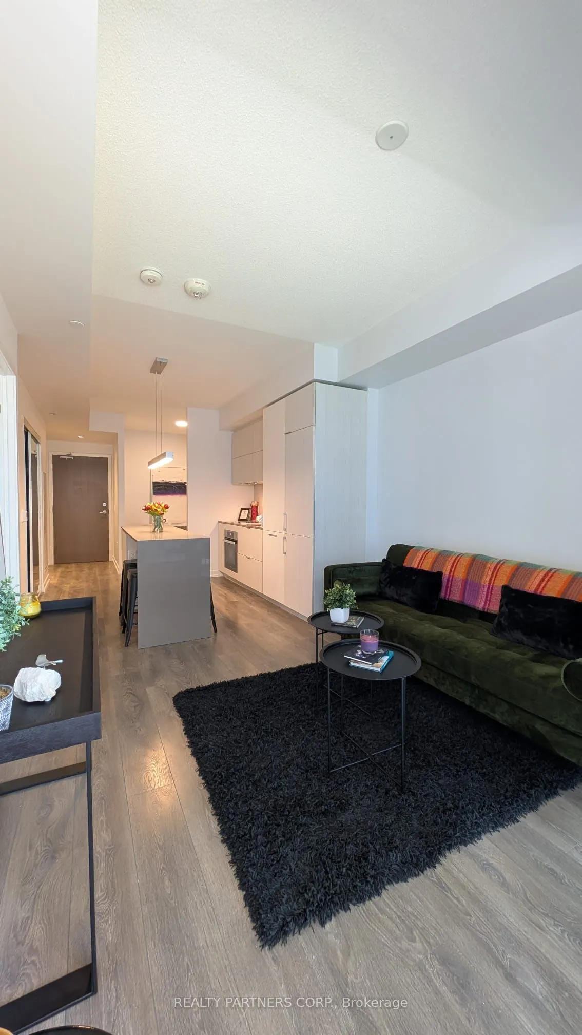 15 Lower Jarvis Street, #517
