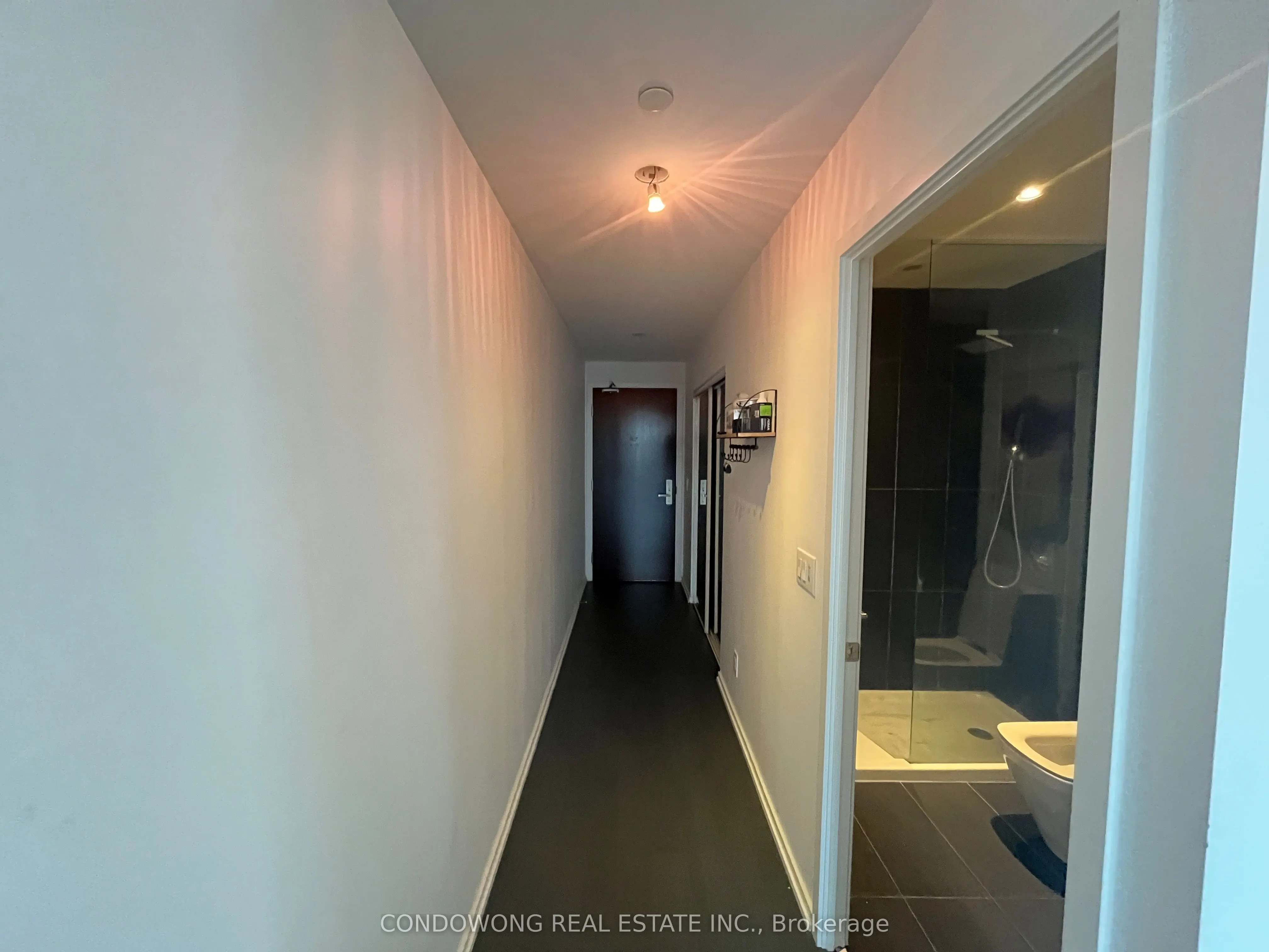 70 Temperance Street, #4411