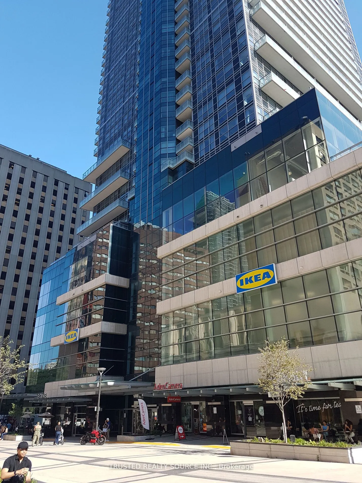 384 Yonge Street, #19