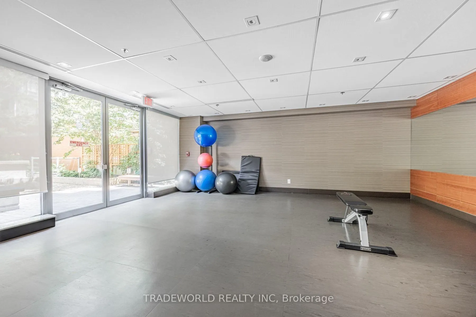 205 Frederick Street, #909
