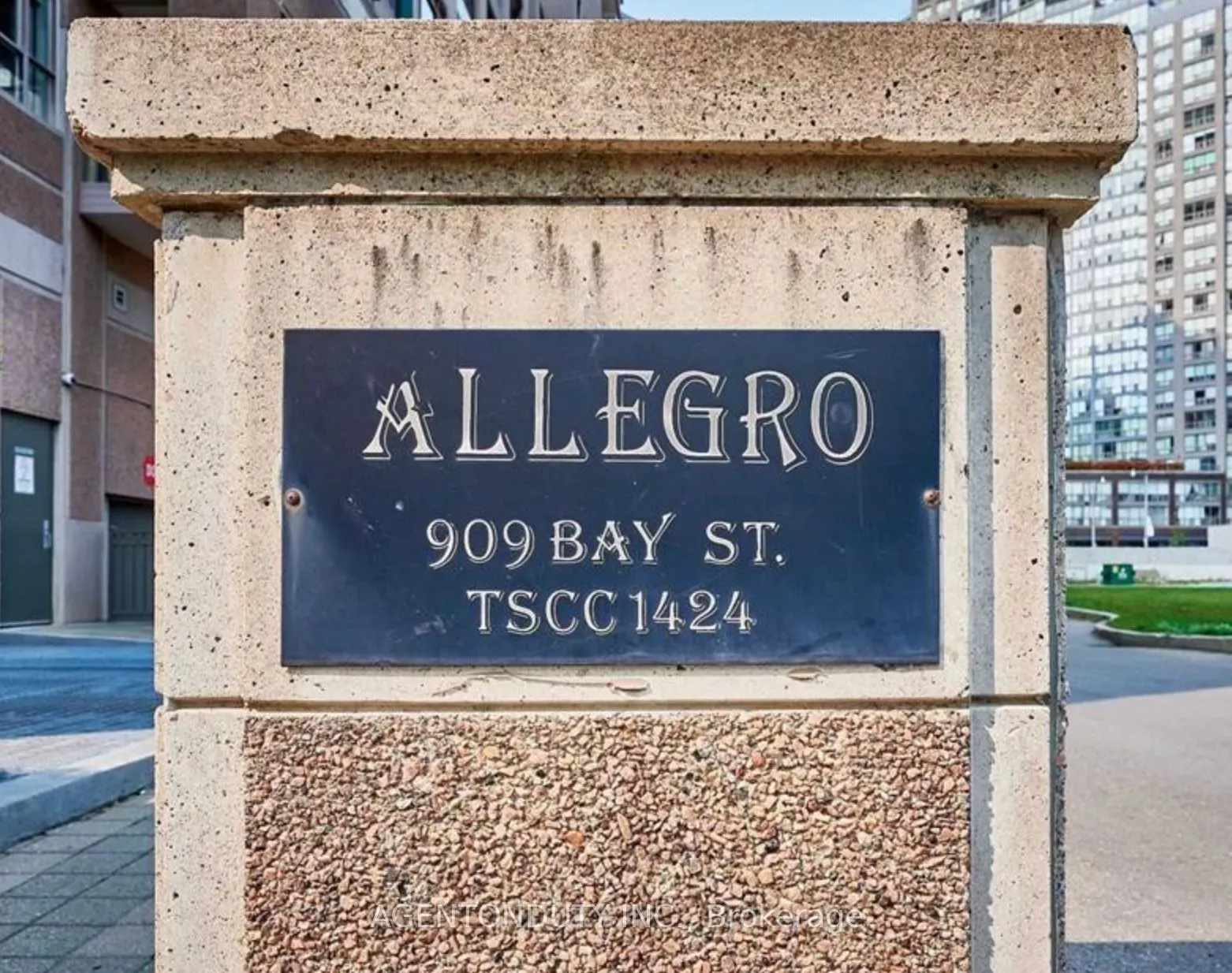 909 Bay Street, #607