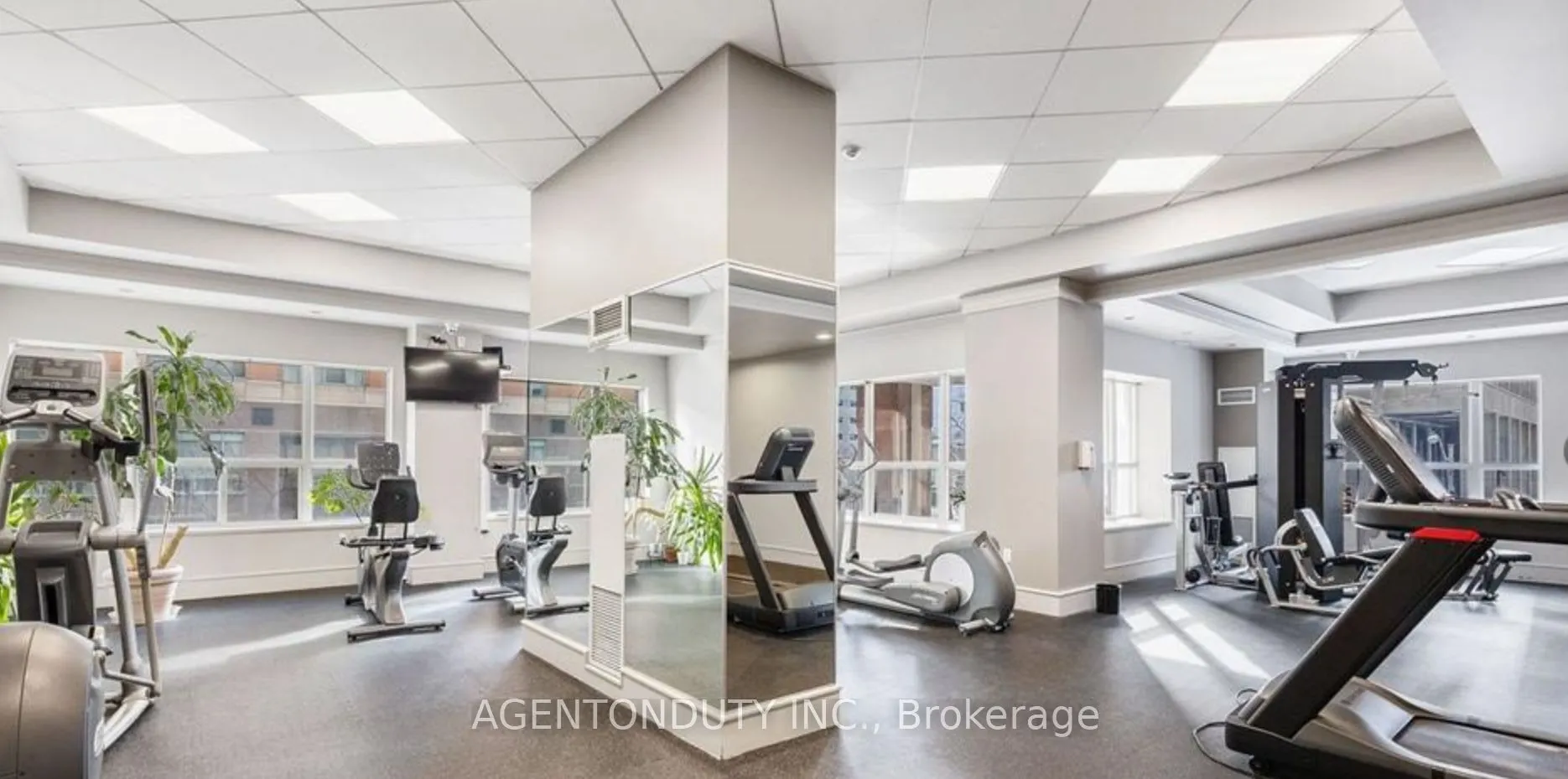 909 Bay Street, #607
